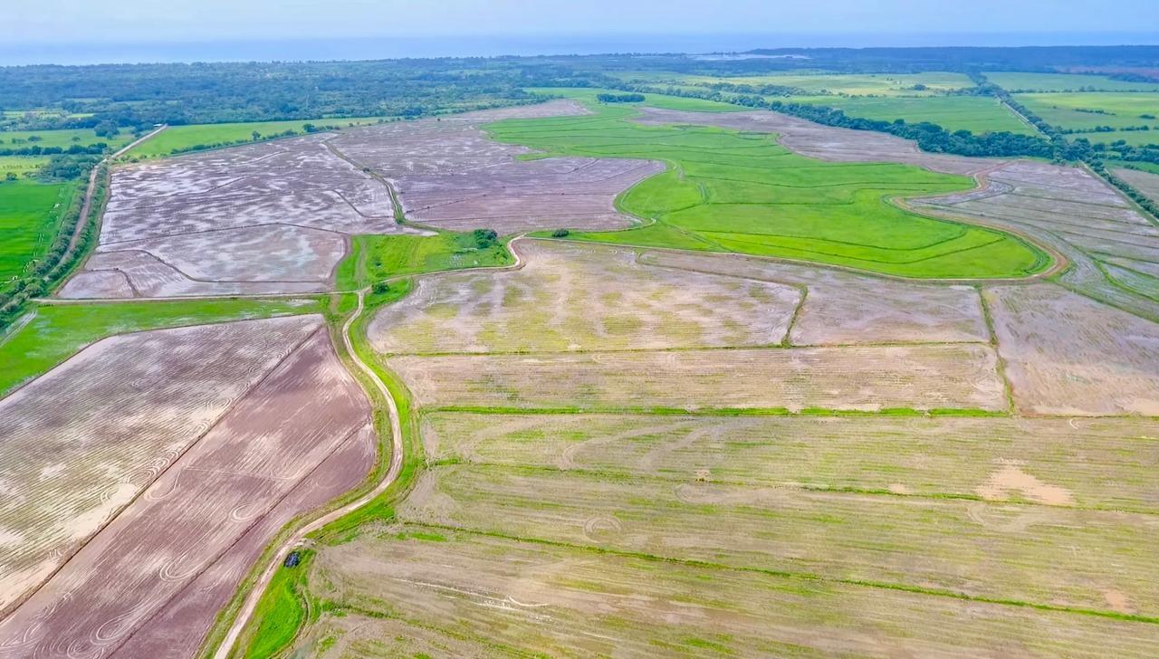 com-0000564b-10.jpg