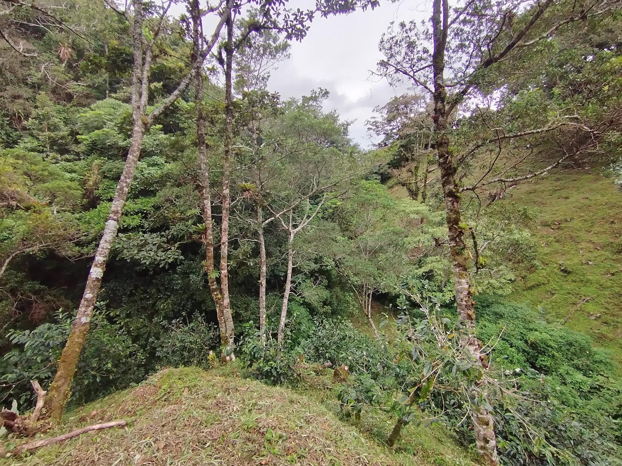 com-00005c24-15.jpg