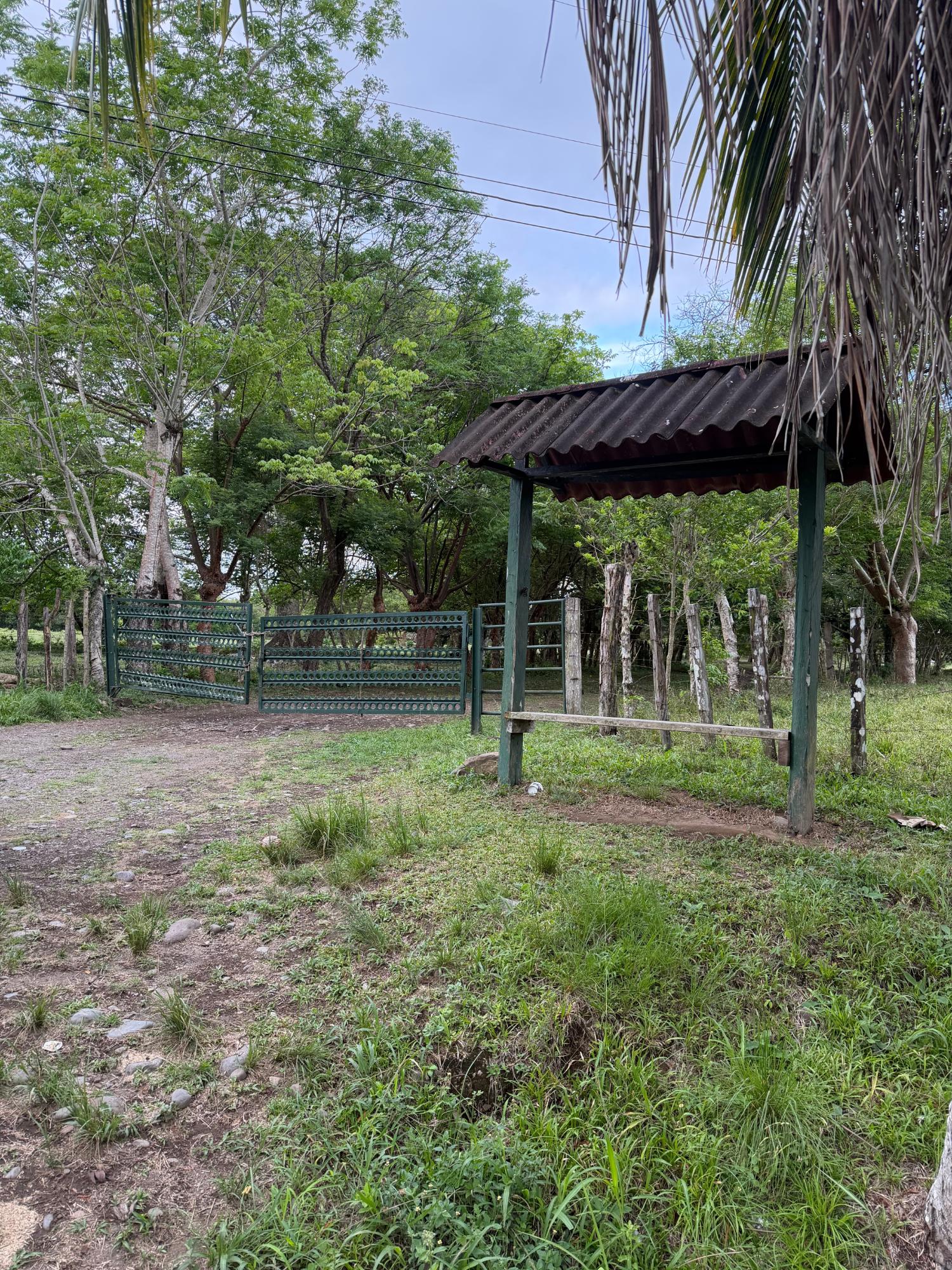 com-0000618c-06.jpg