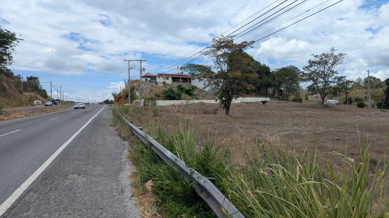 com-0000619a-06.jpg