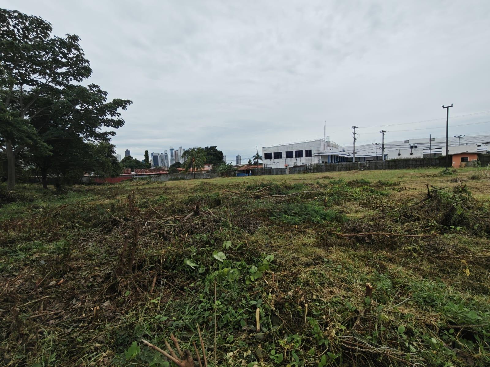 com-00006383-07.jpg