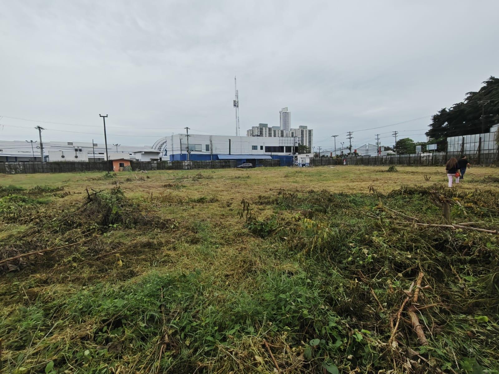 com-00006383-08.jpg