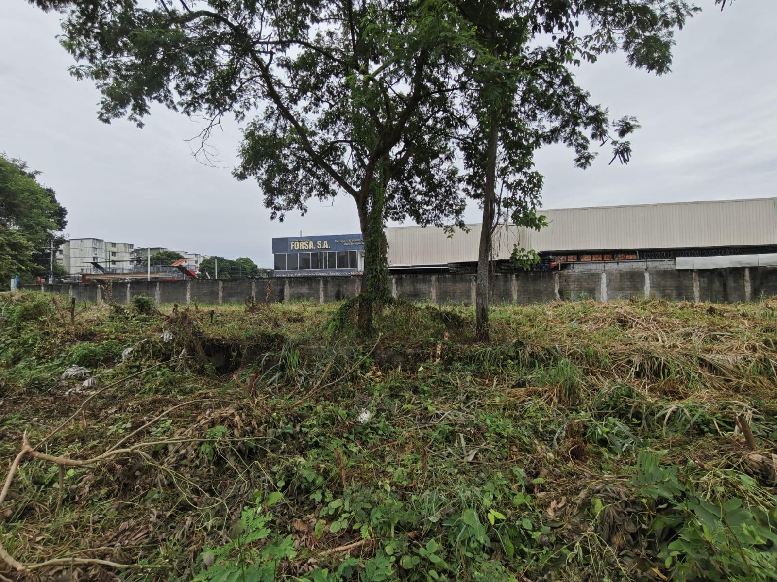 com-00006383-10.jpg