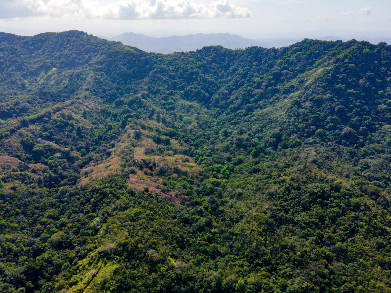 res-00004376-16.jpg