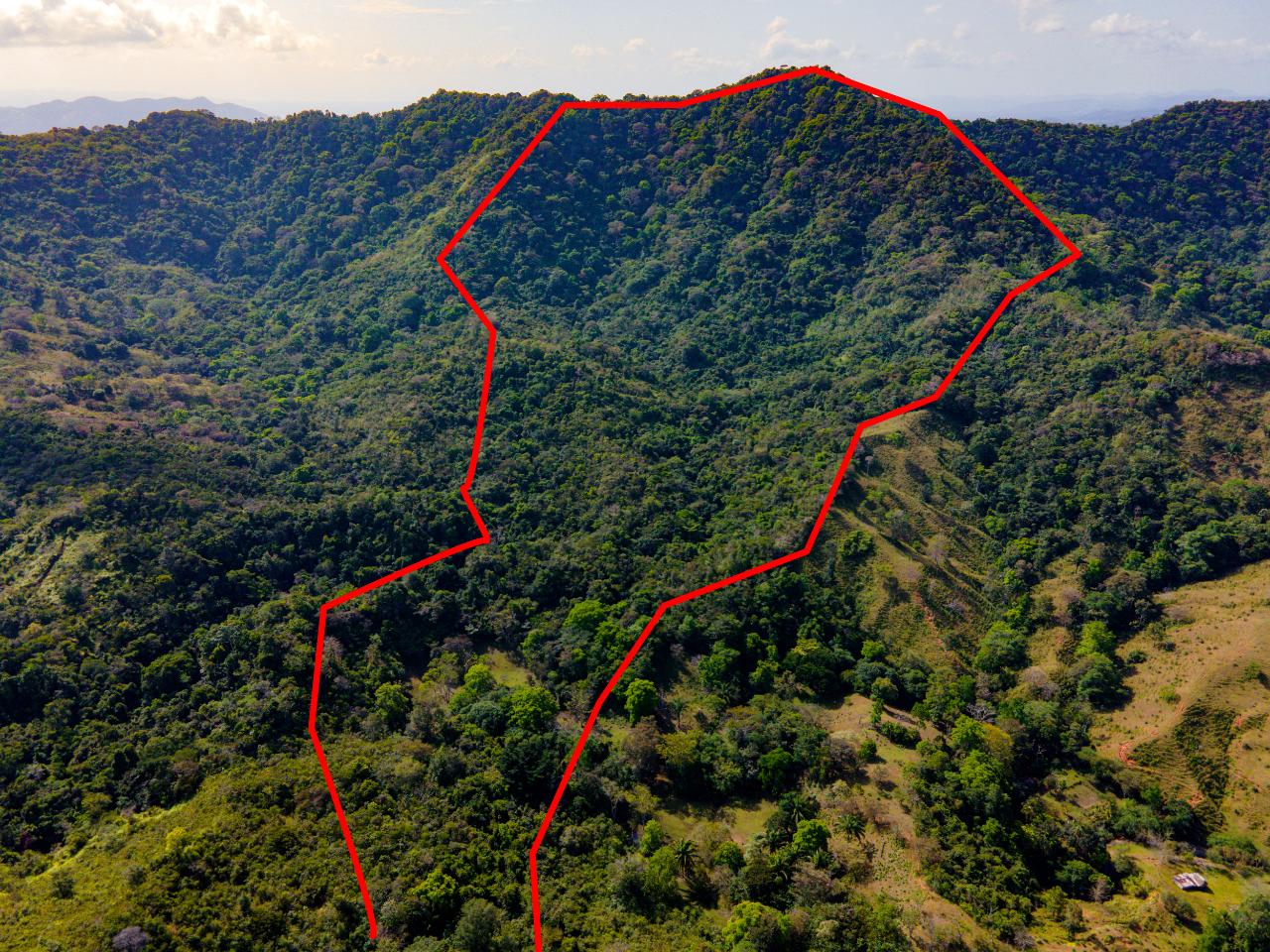 res-00004376-18.jpg