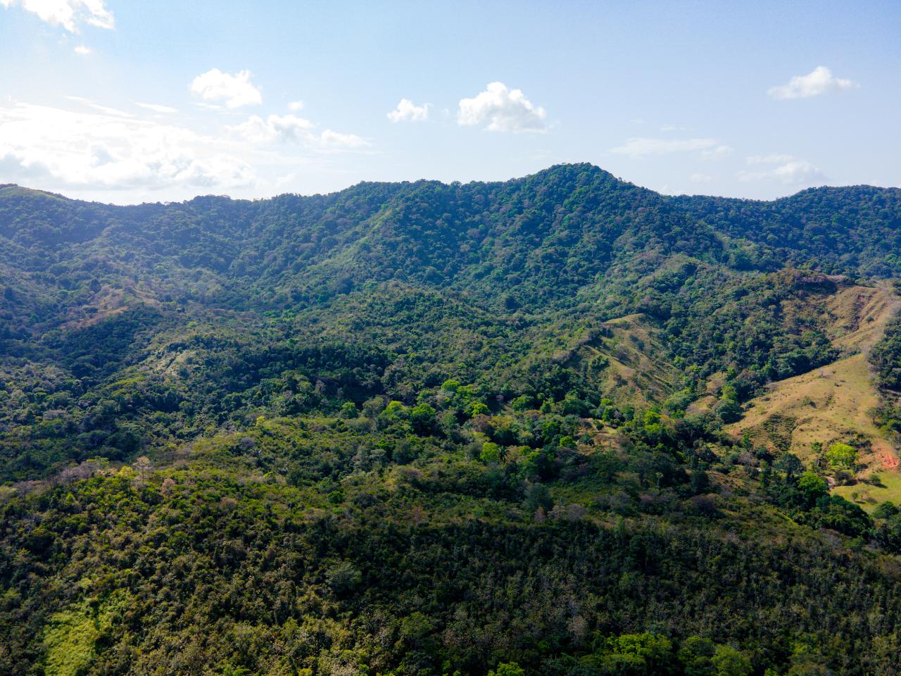 res-00004376-19.jpg