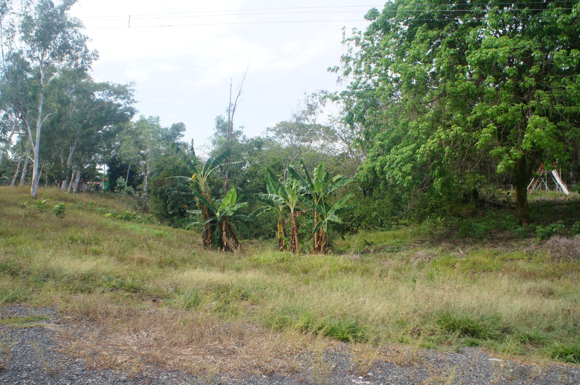 res-000044c2-04.jpg