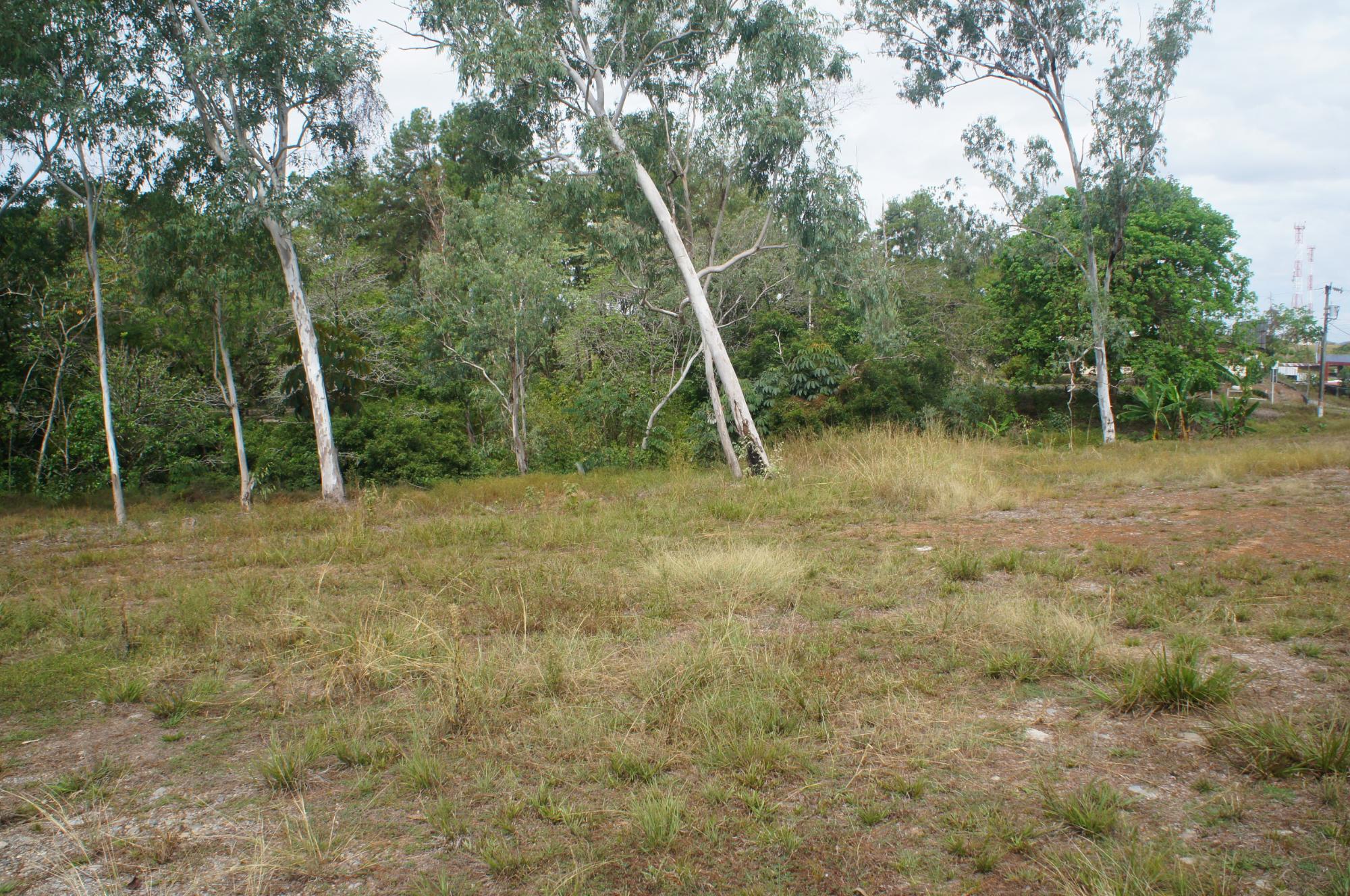 res-000044c2-05.jpg