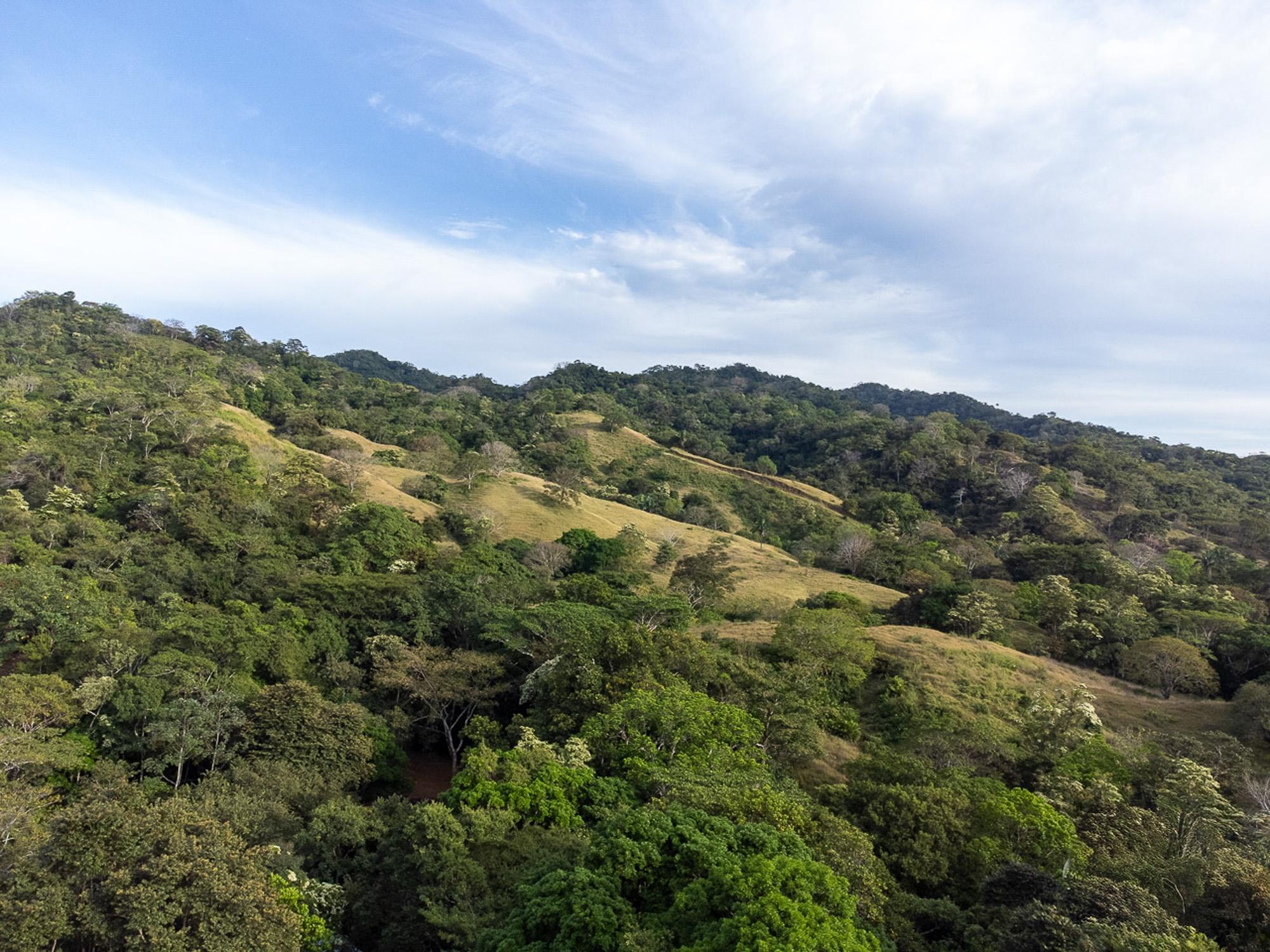 res-00004a8a-09.jpg