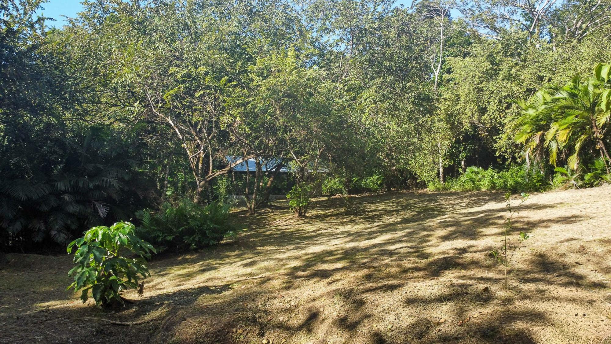 res-00004a8a-13.jpg