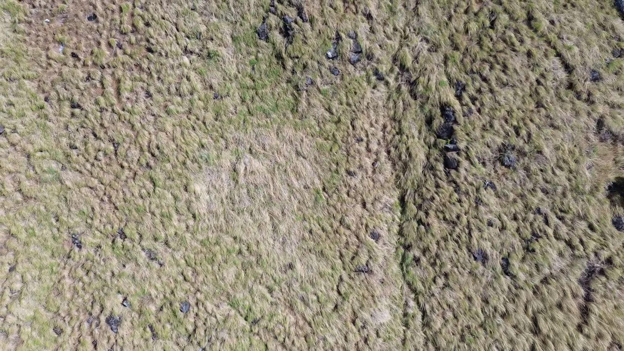 res-00004b10-08.jpg