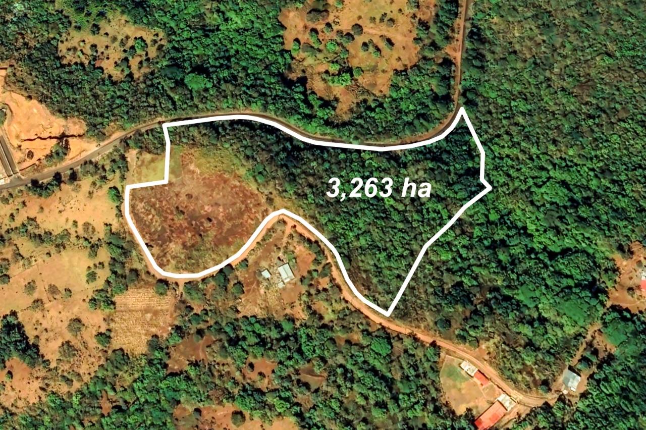 res-00004b7a-07.jpg