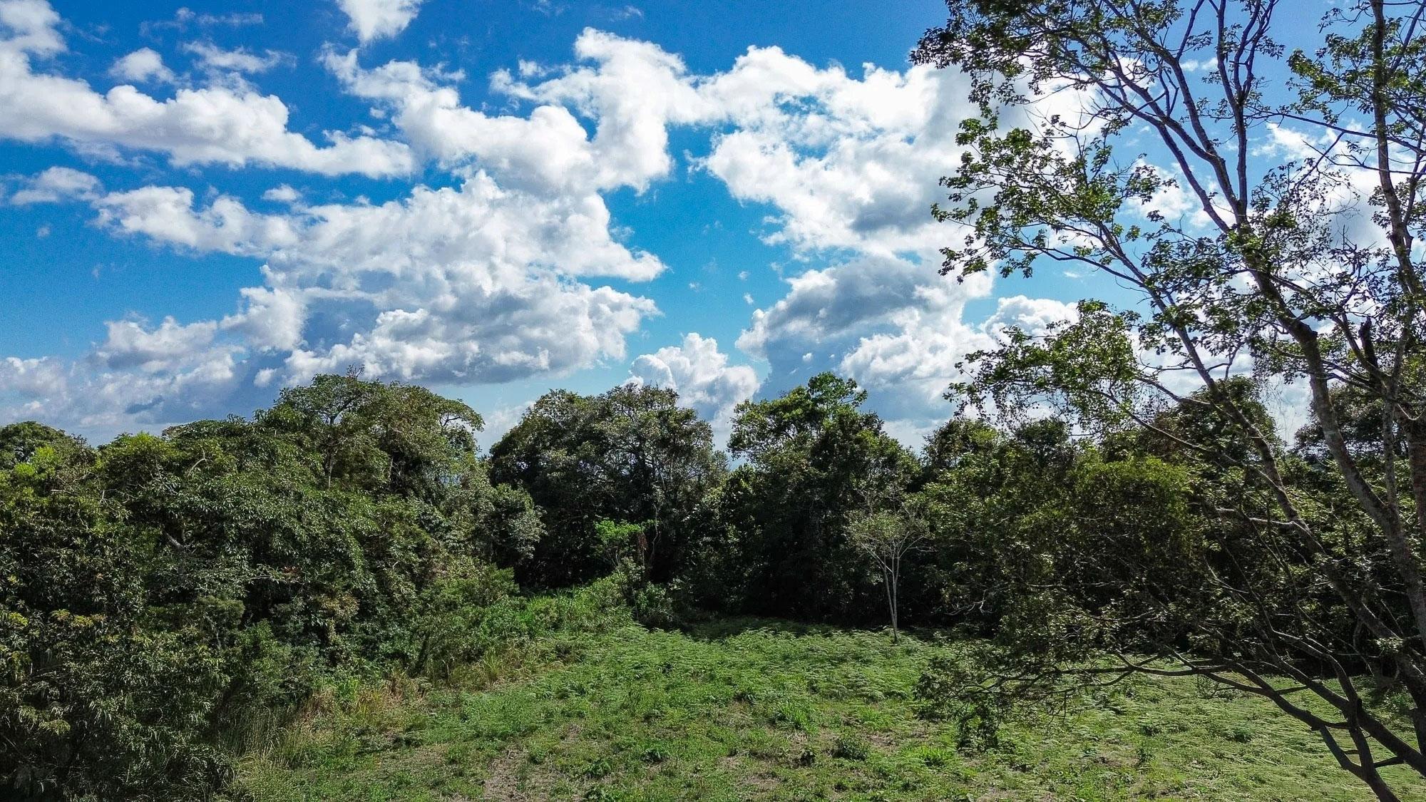res-00004d9c-20.jpg