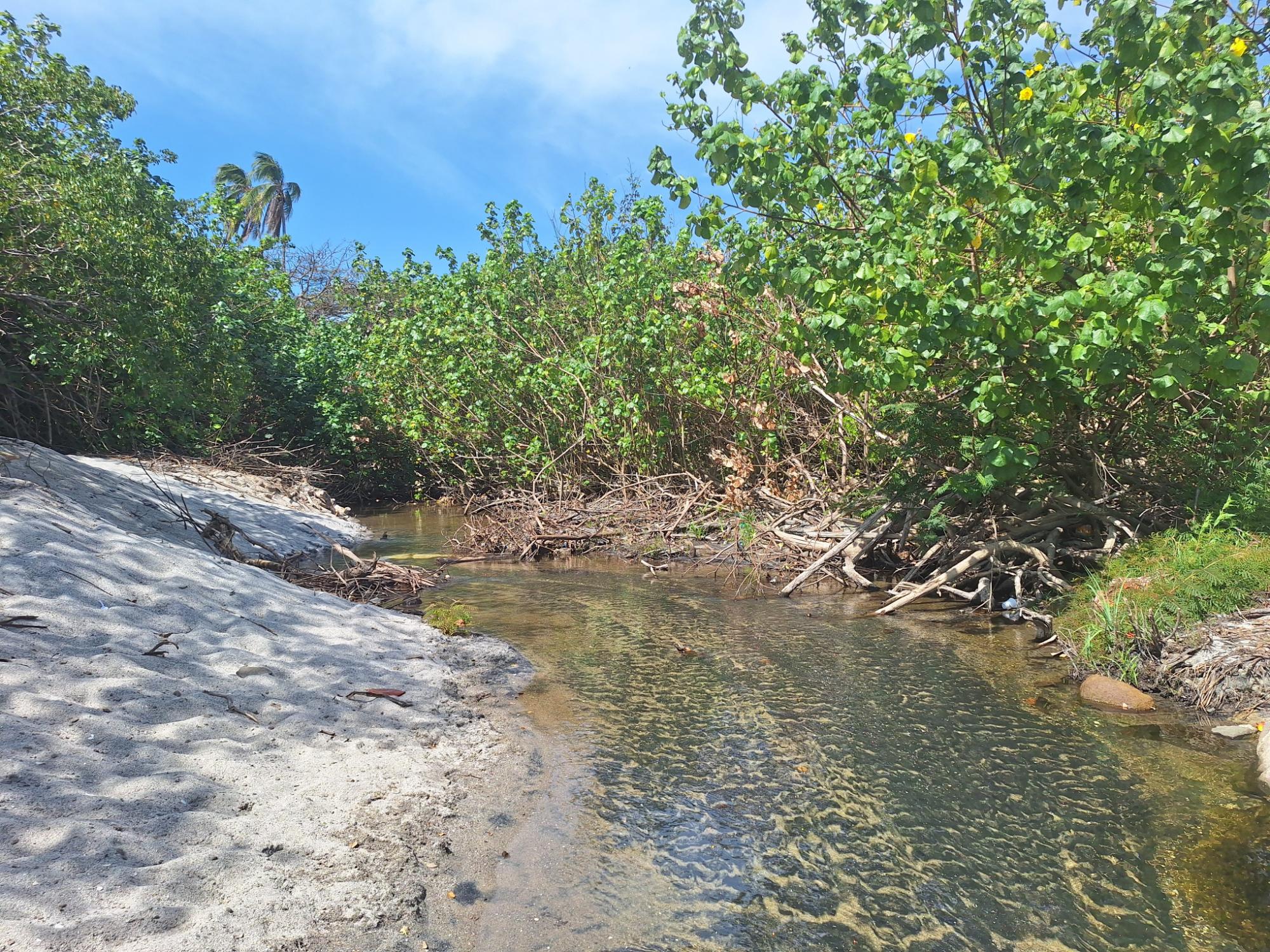 res-00004e52-11.jpg