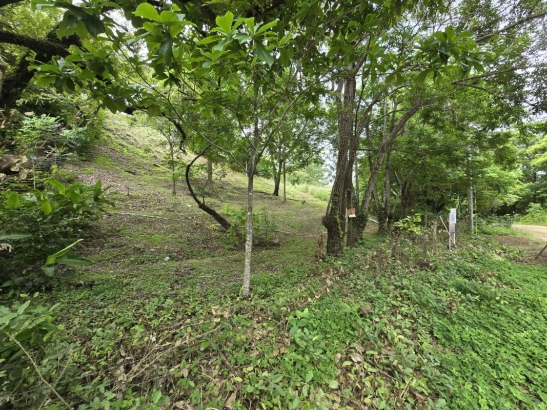 res-00004e66-03.jpg