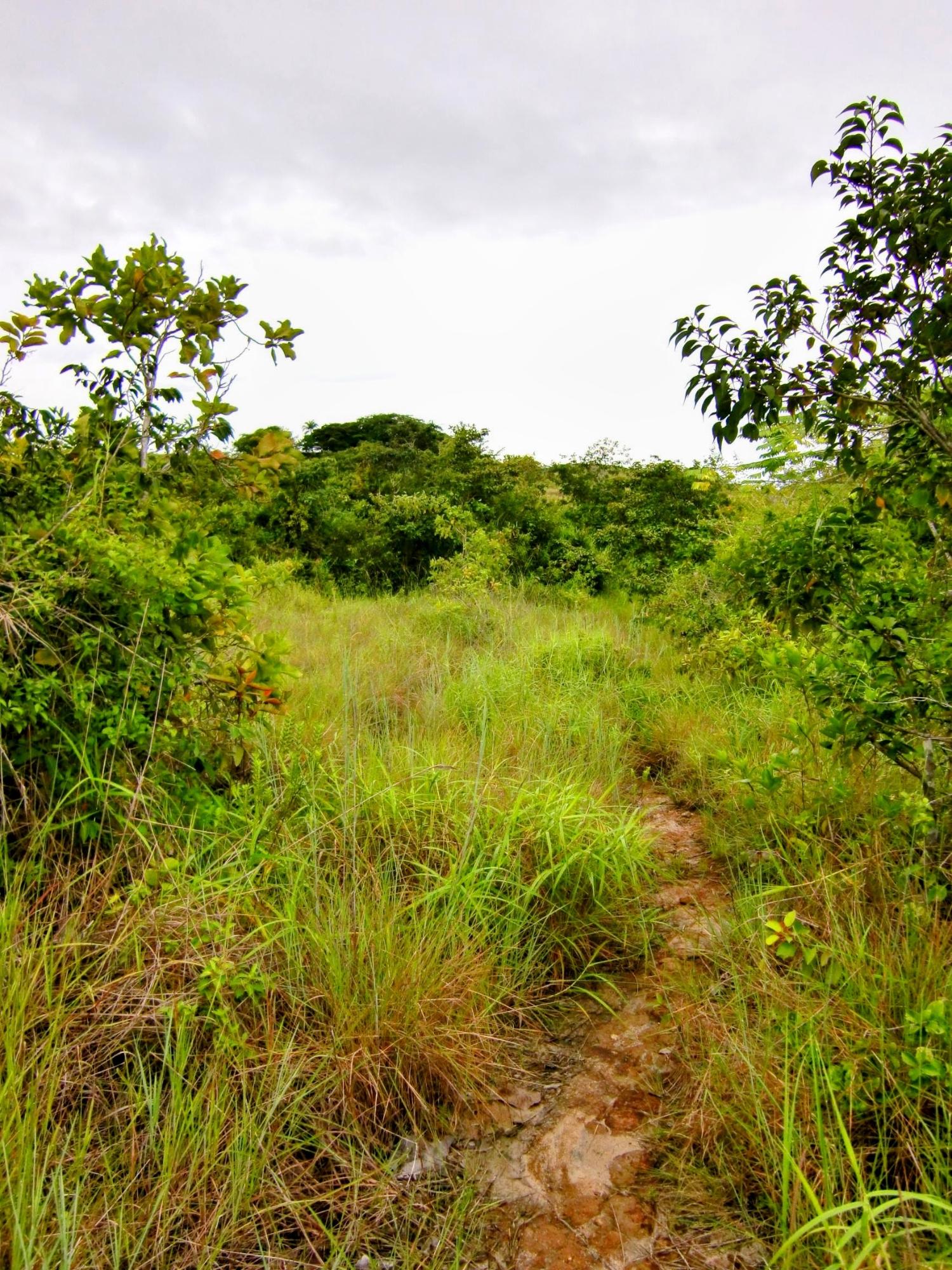 res-00005262-11.jpg