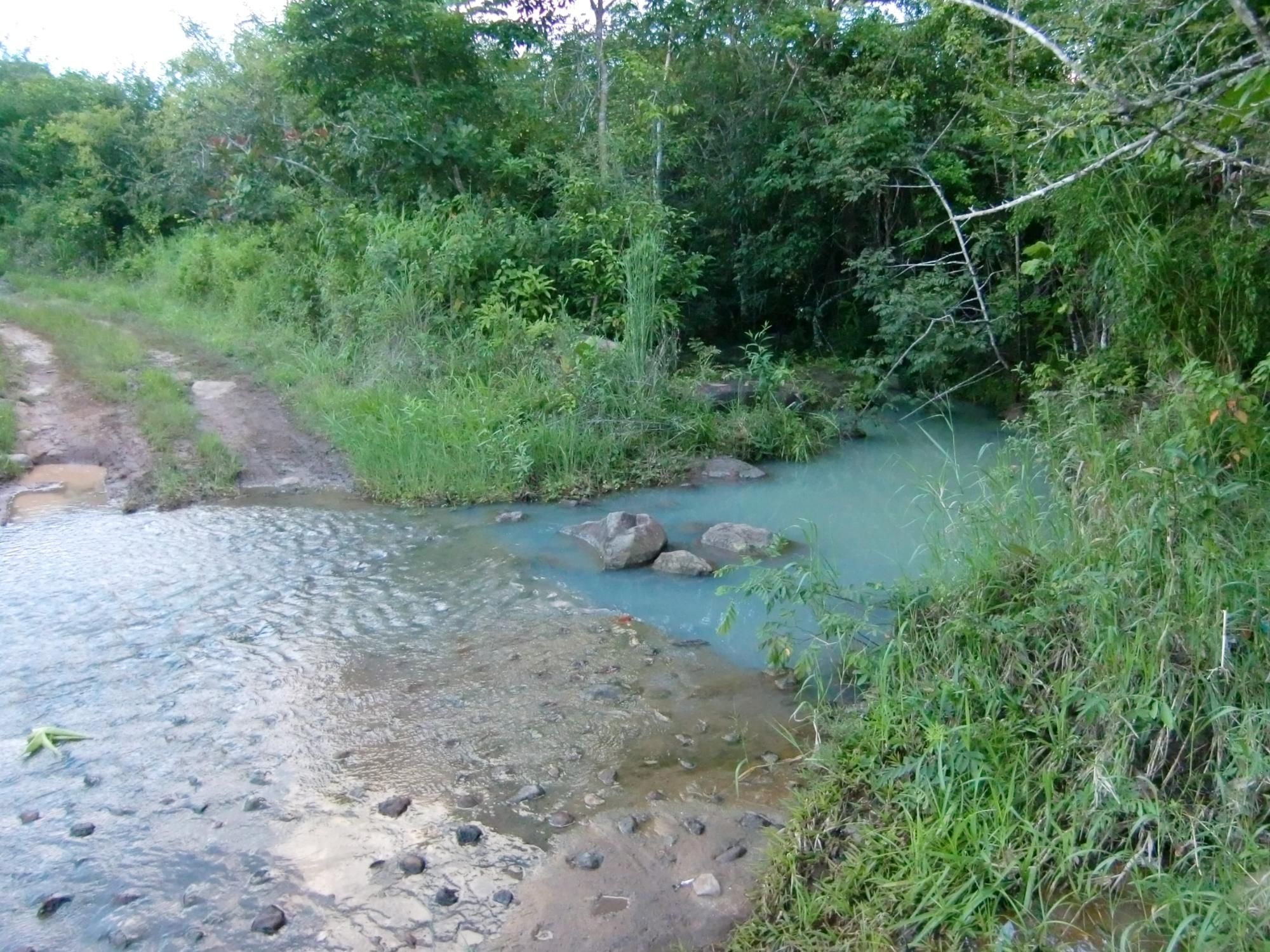res-00005262-12.jpg