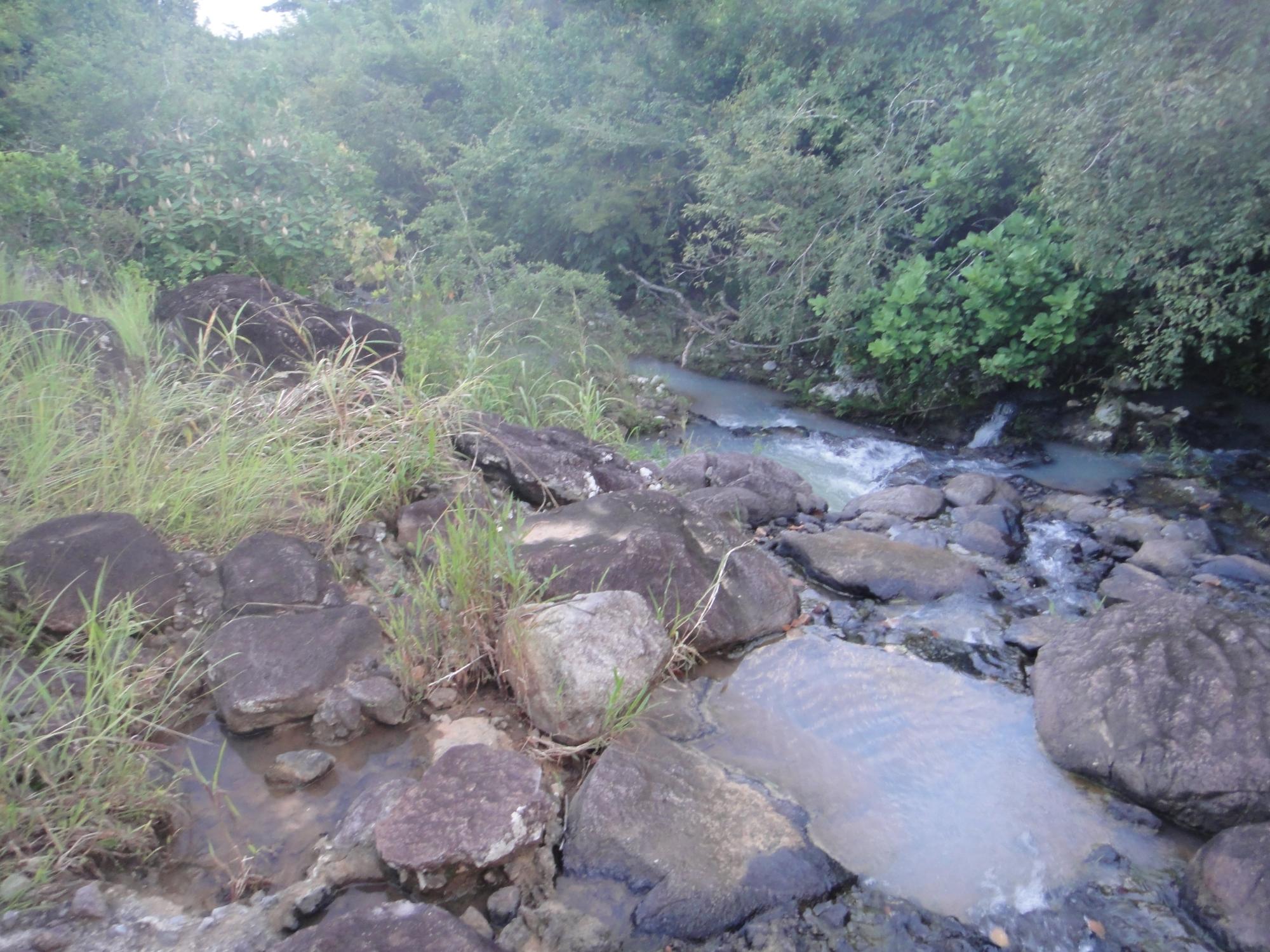 res-00005262-13.jpg