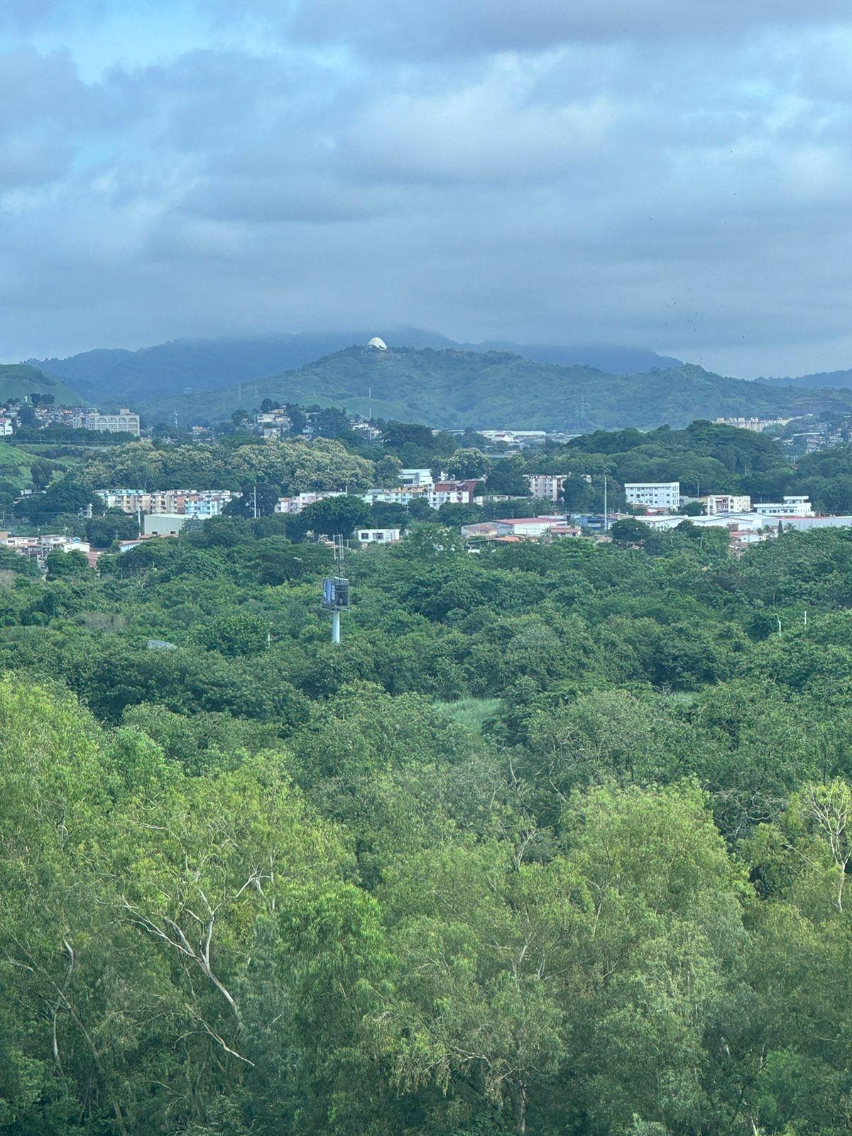 res-000052b8-13.jpg