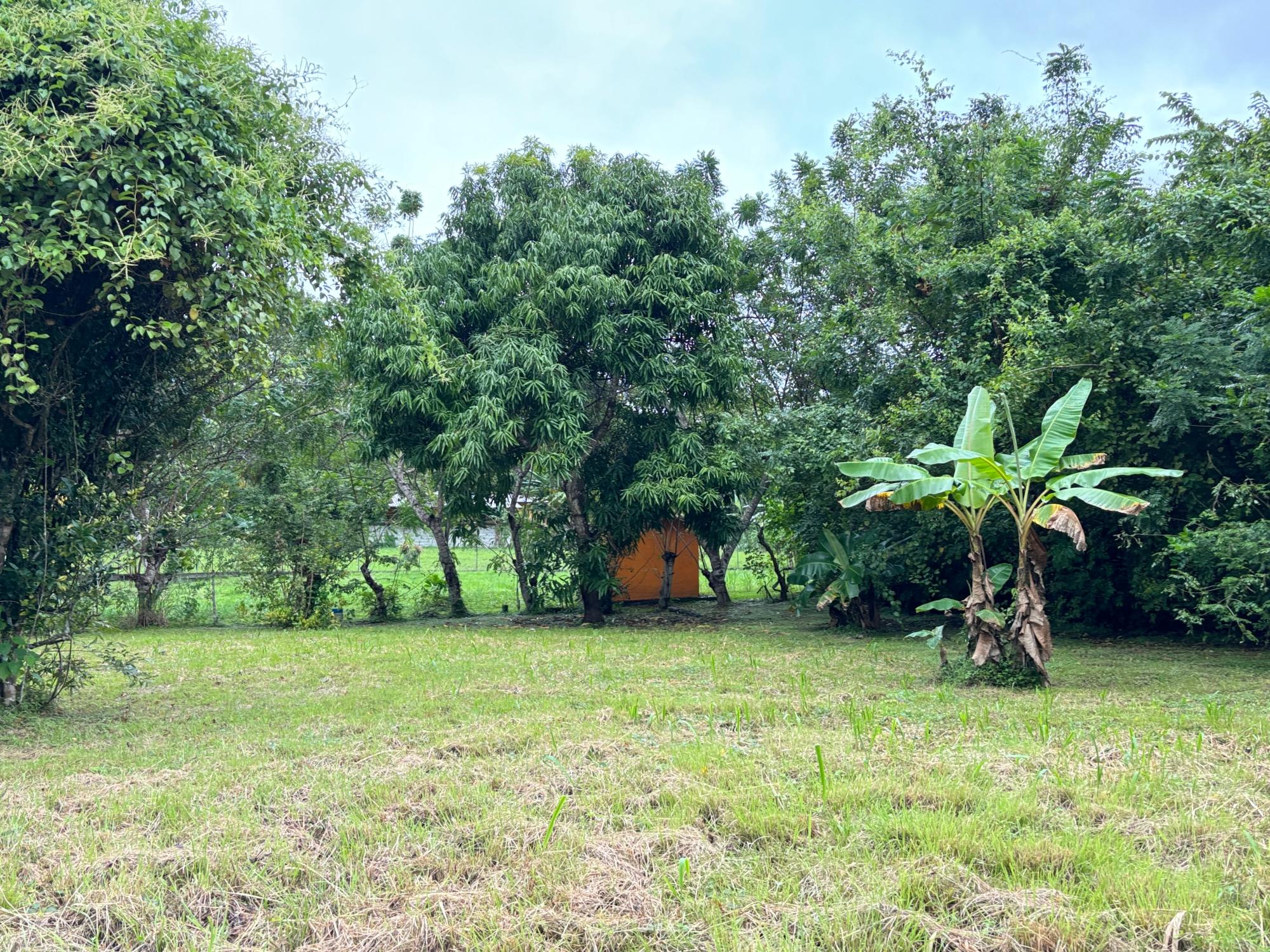 res-000052d3-02.jpg