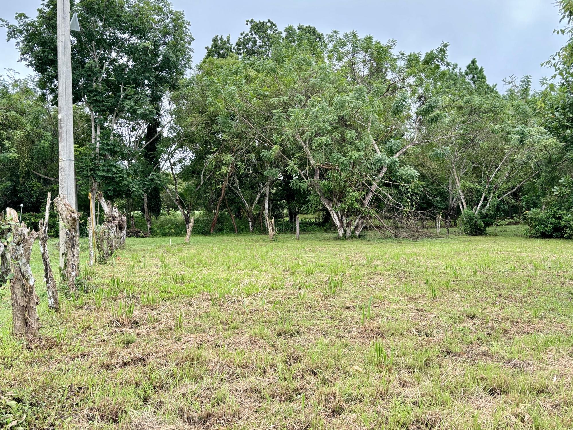 res-000052d3-04.jpg