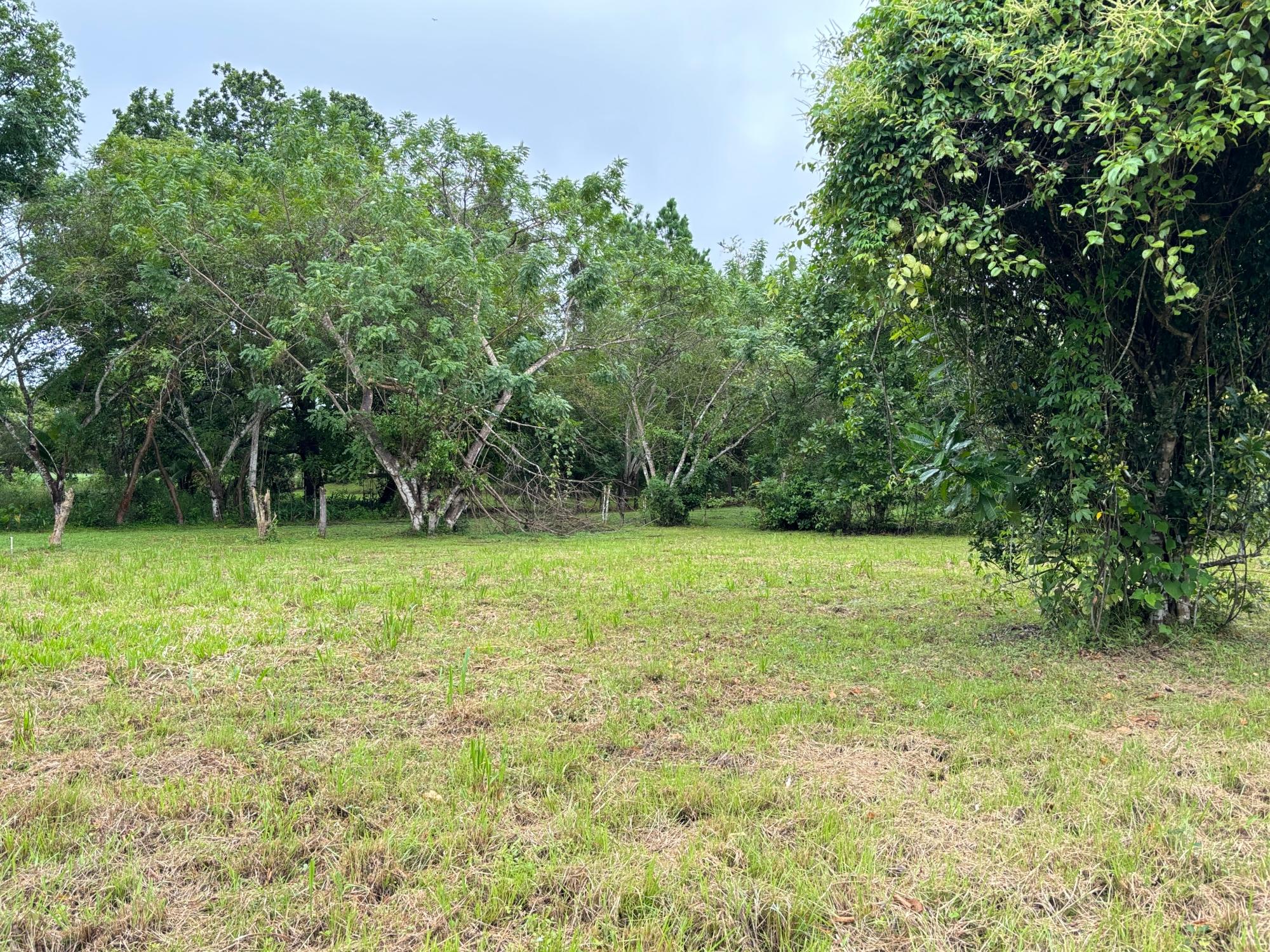 res-000052d3-05.jpg