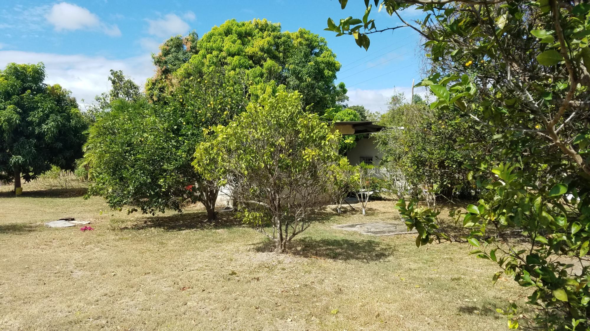 res-00005320-12.jpg