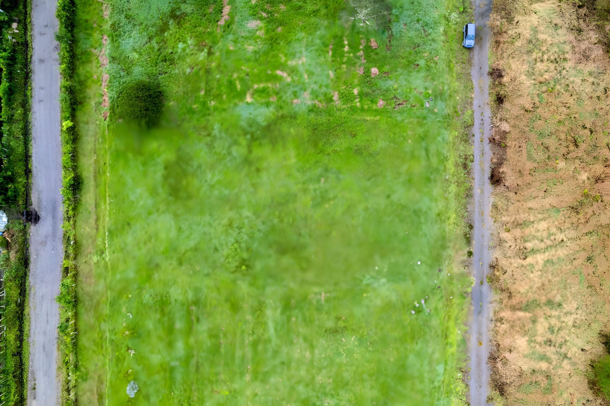 res-00005350-02.jpg