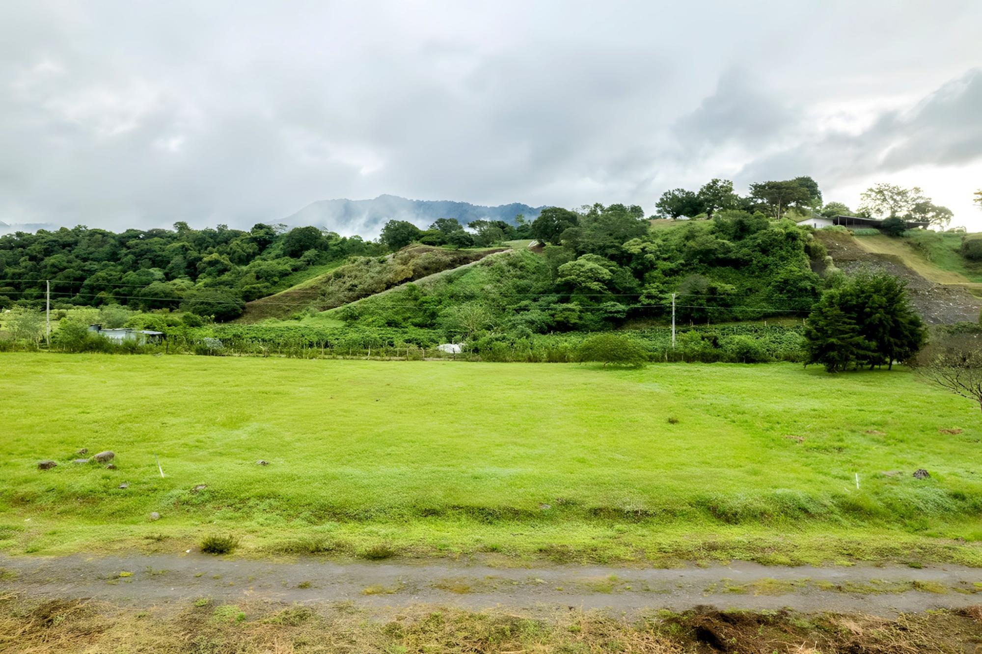 res-00005350-11.jpg