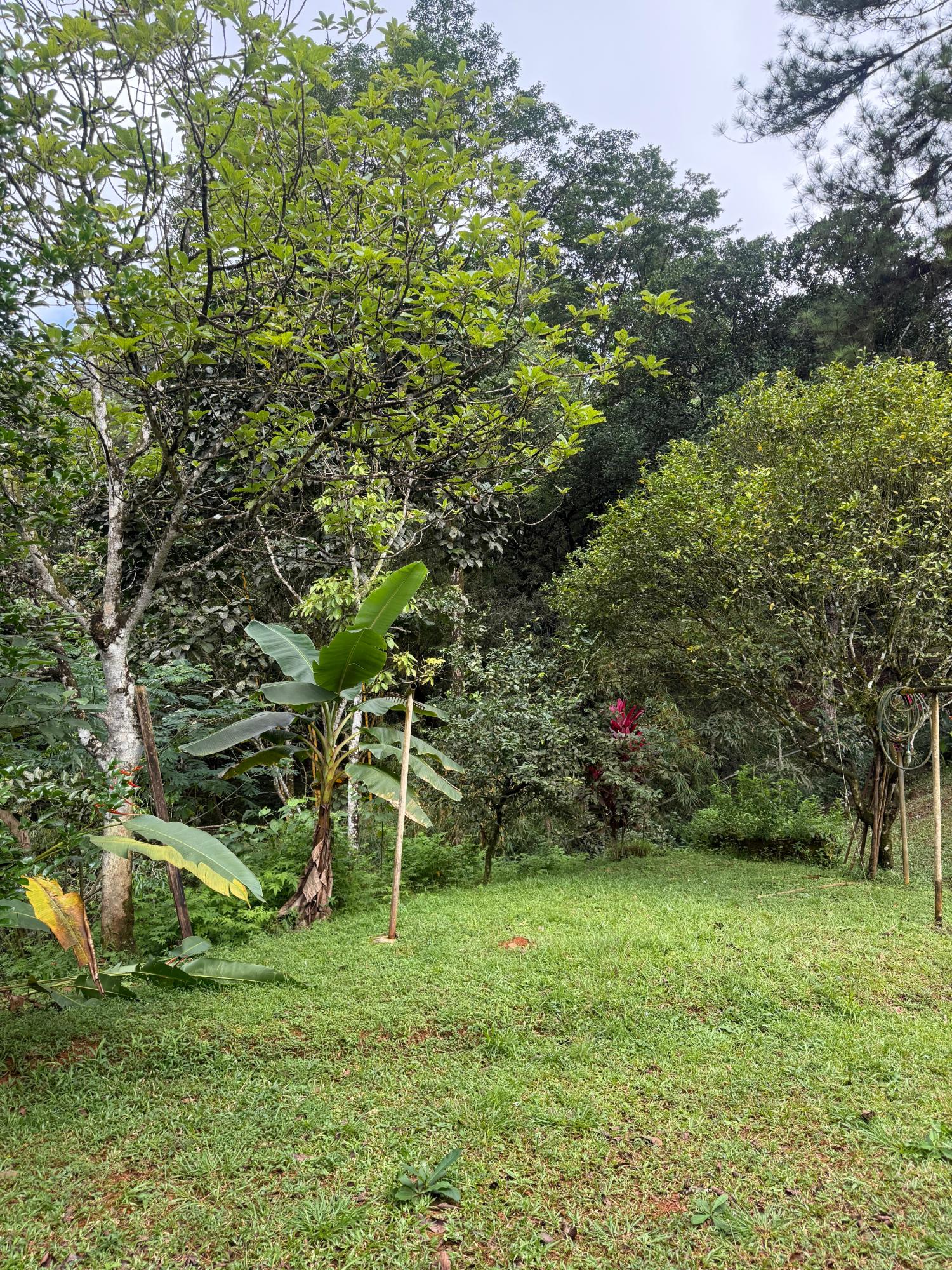 res-00005387-15.jpg