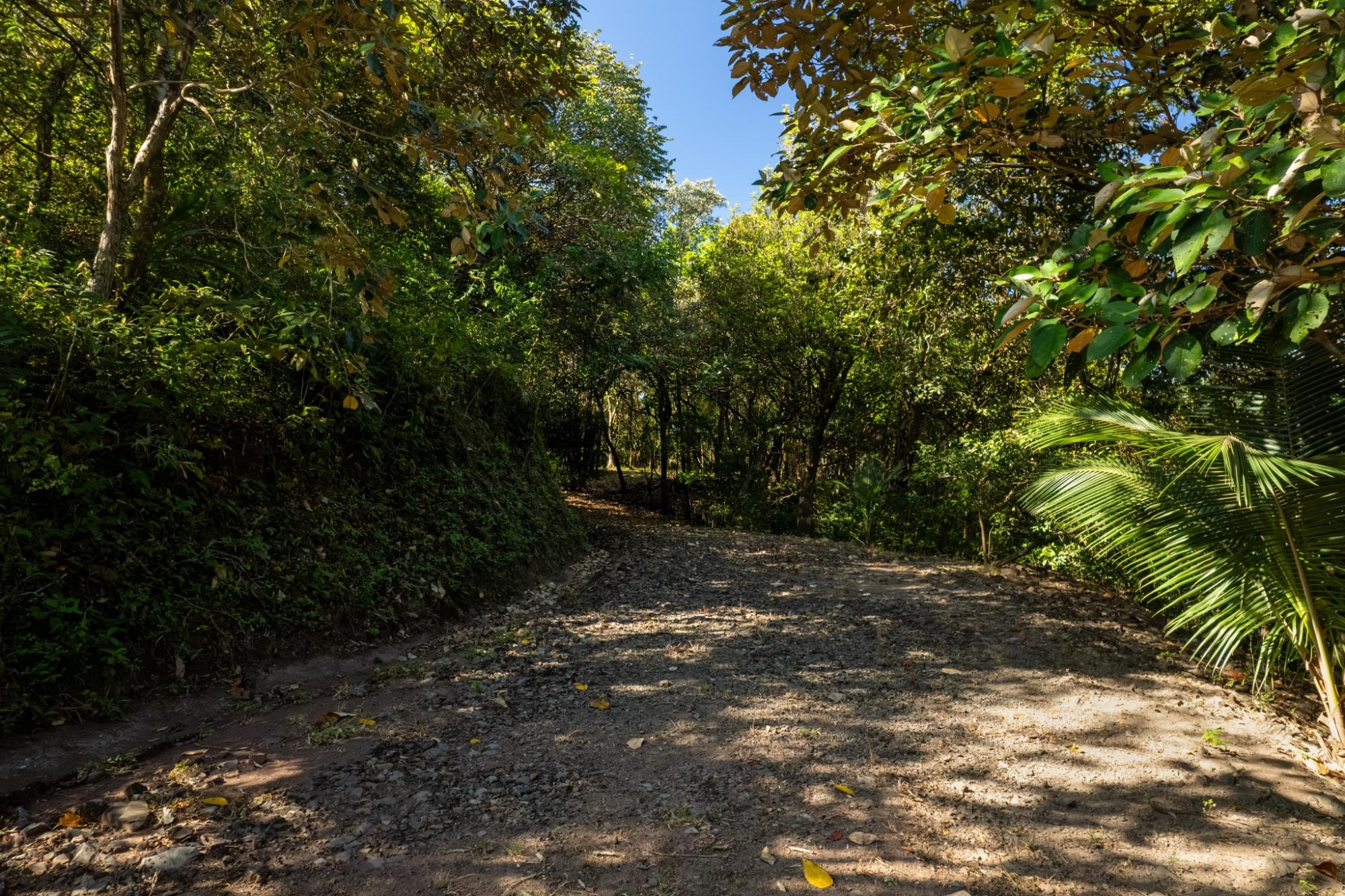 res-000053e4-12.jpg