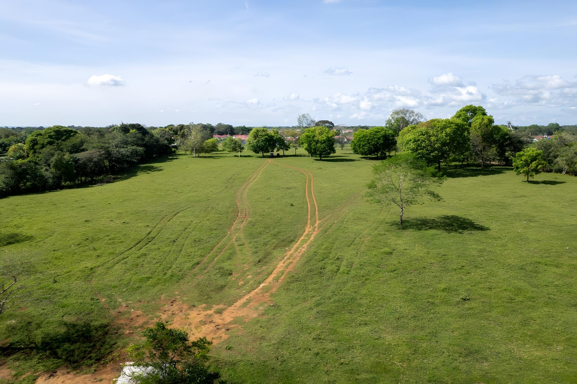 res-00005448-07.jpg
