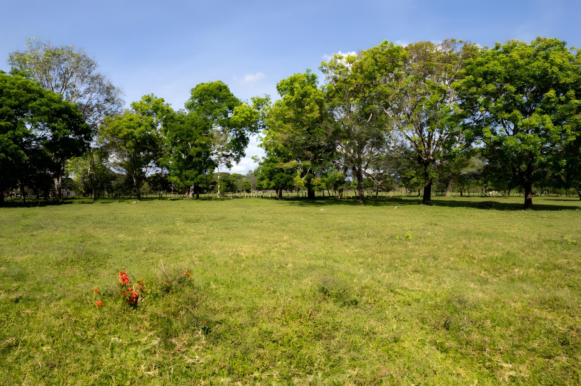 res-00005448-10.jpg