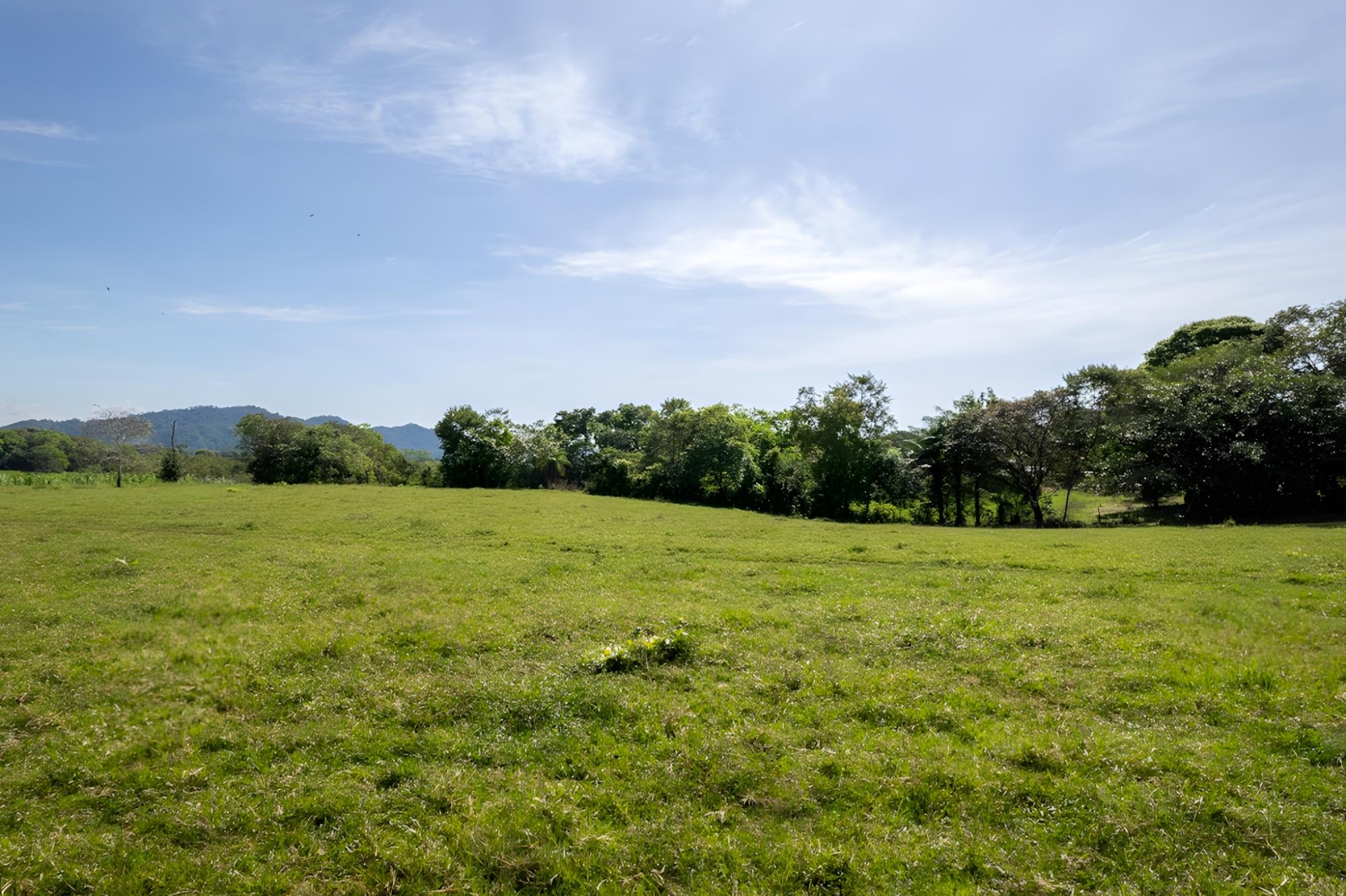 res-00005448-11.jpg