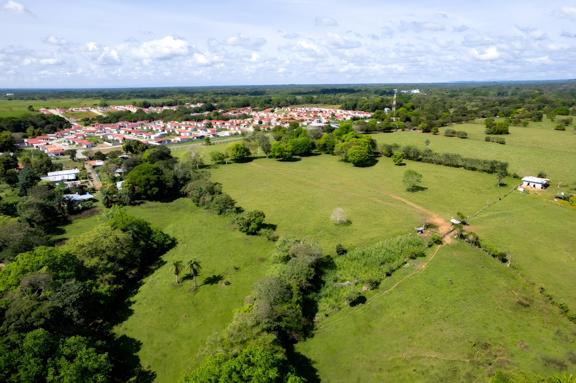 res-00005448-15.jpg