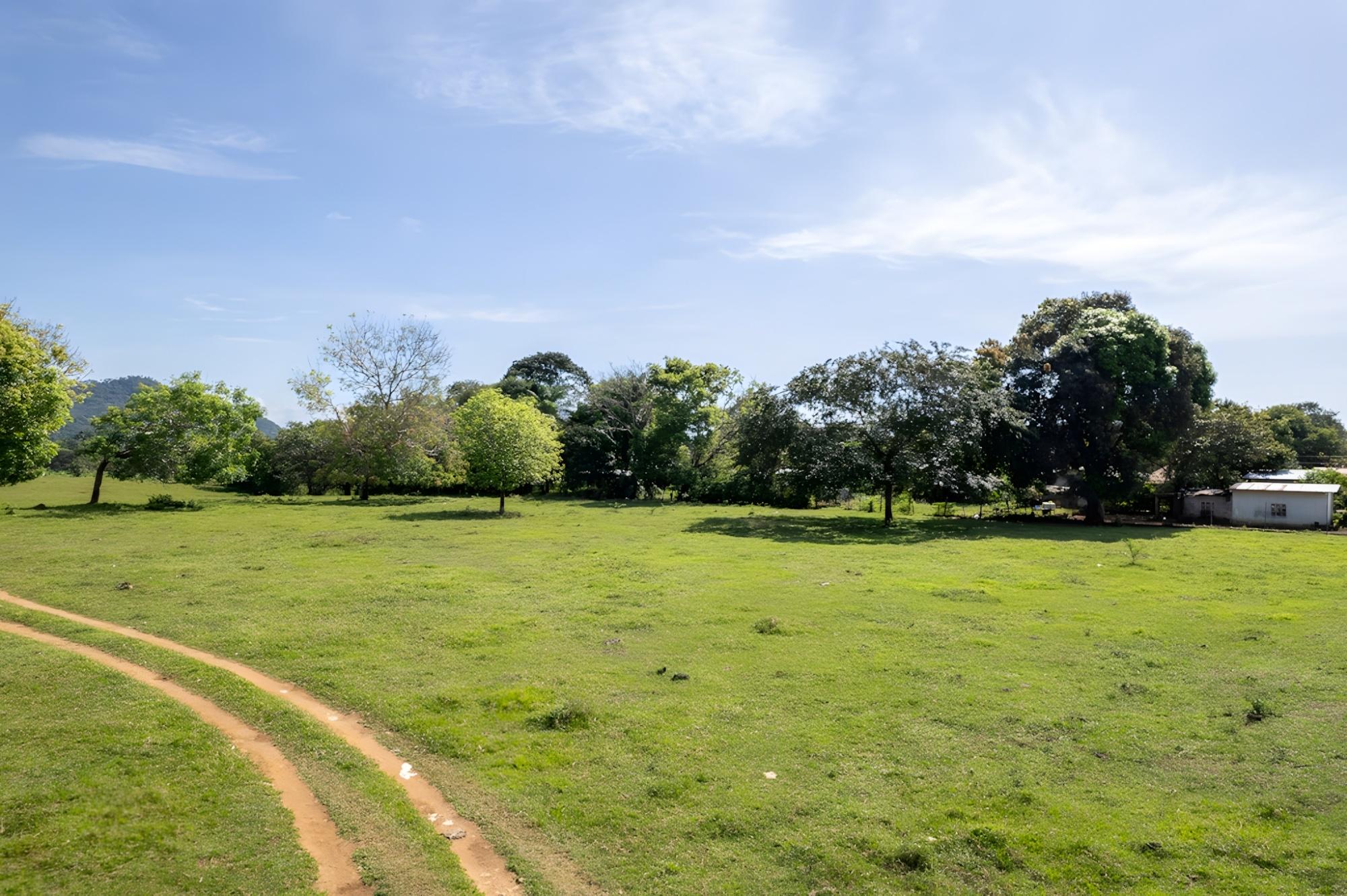 res-00005448-20.jpg