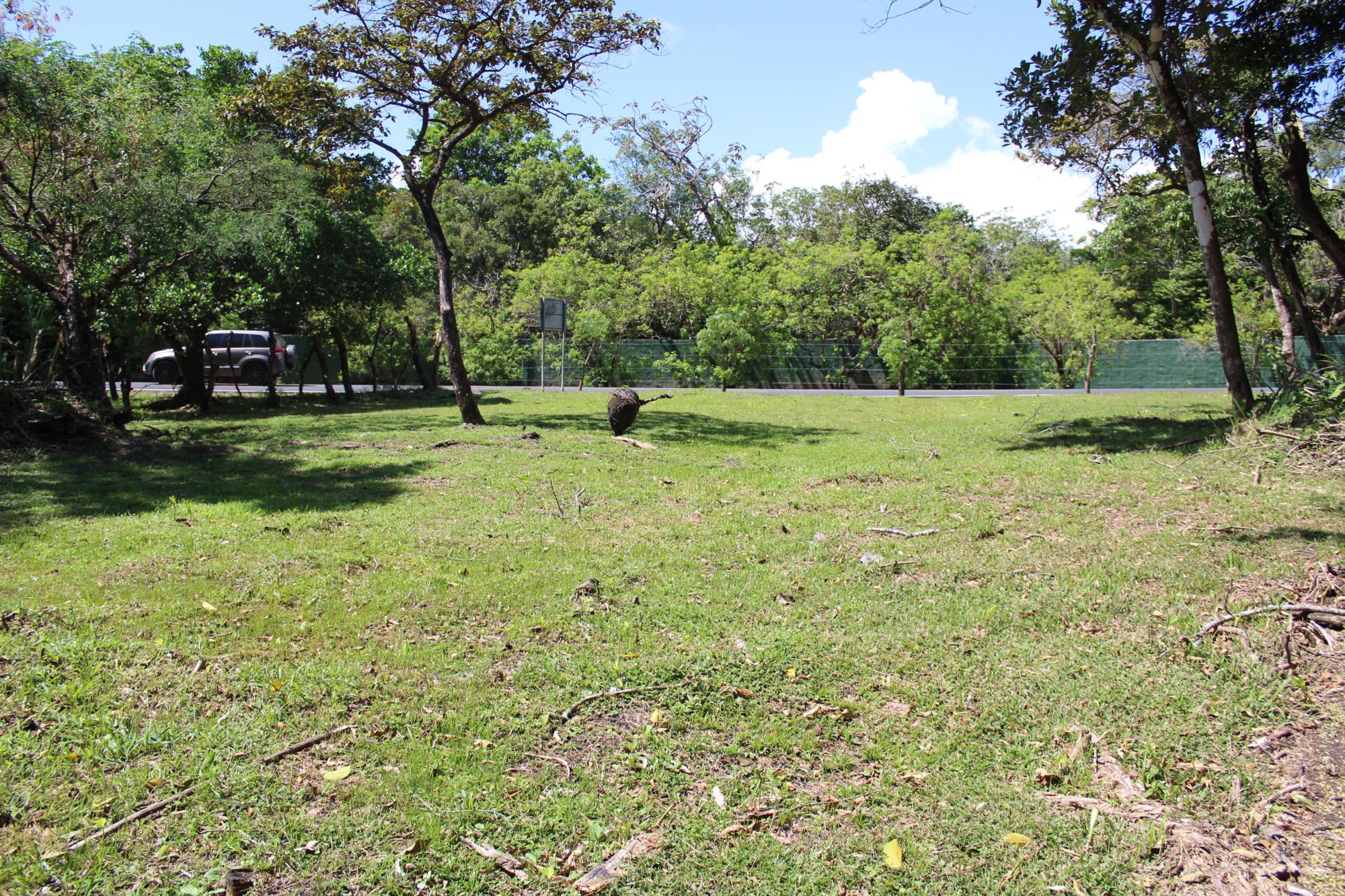 res-0000546a-02.jpg