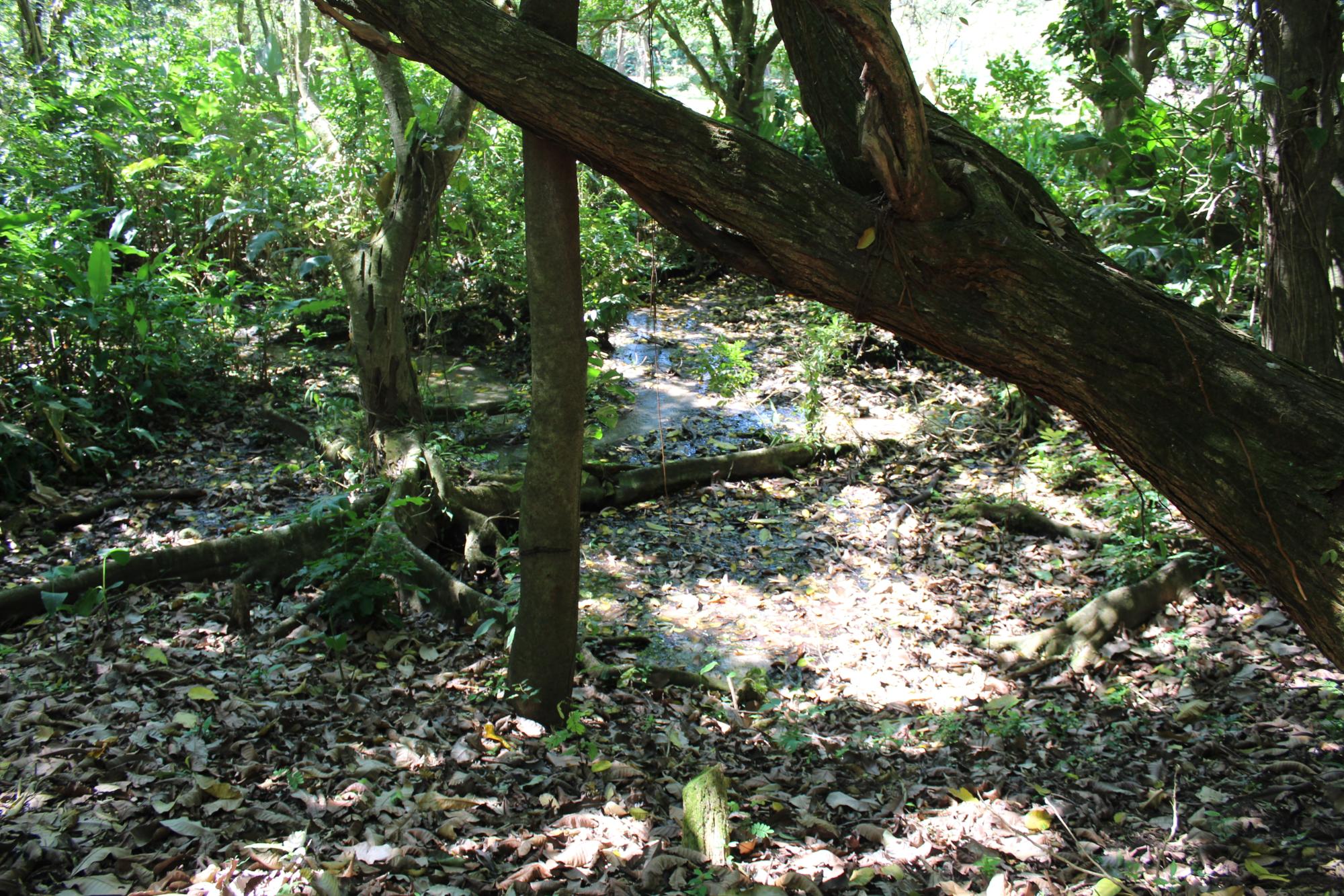 res-0000546a-04.jpg