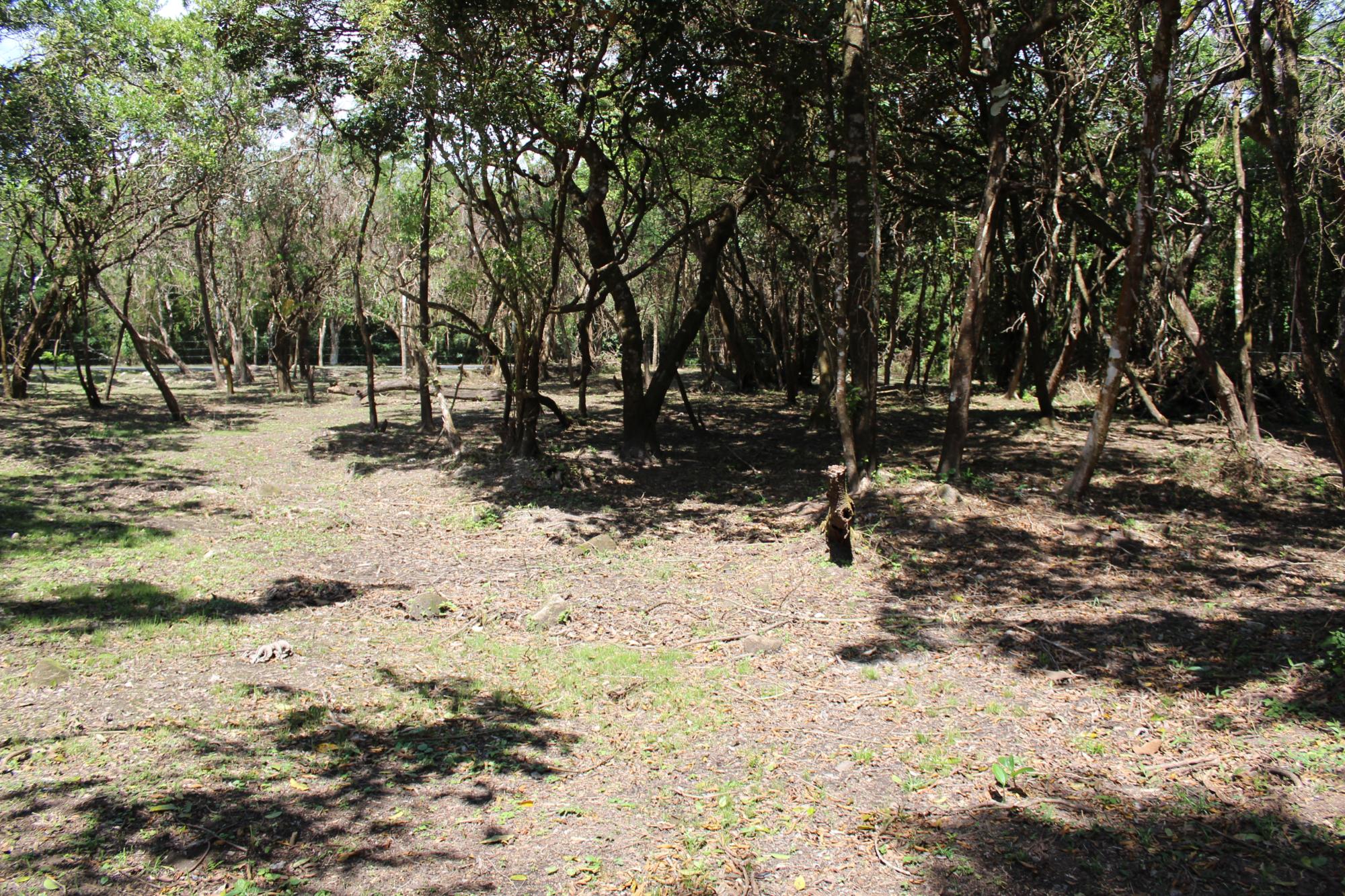 res-0000546a-05.jpg