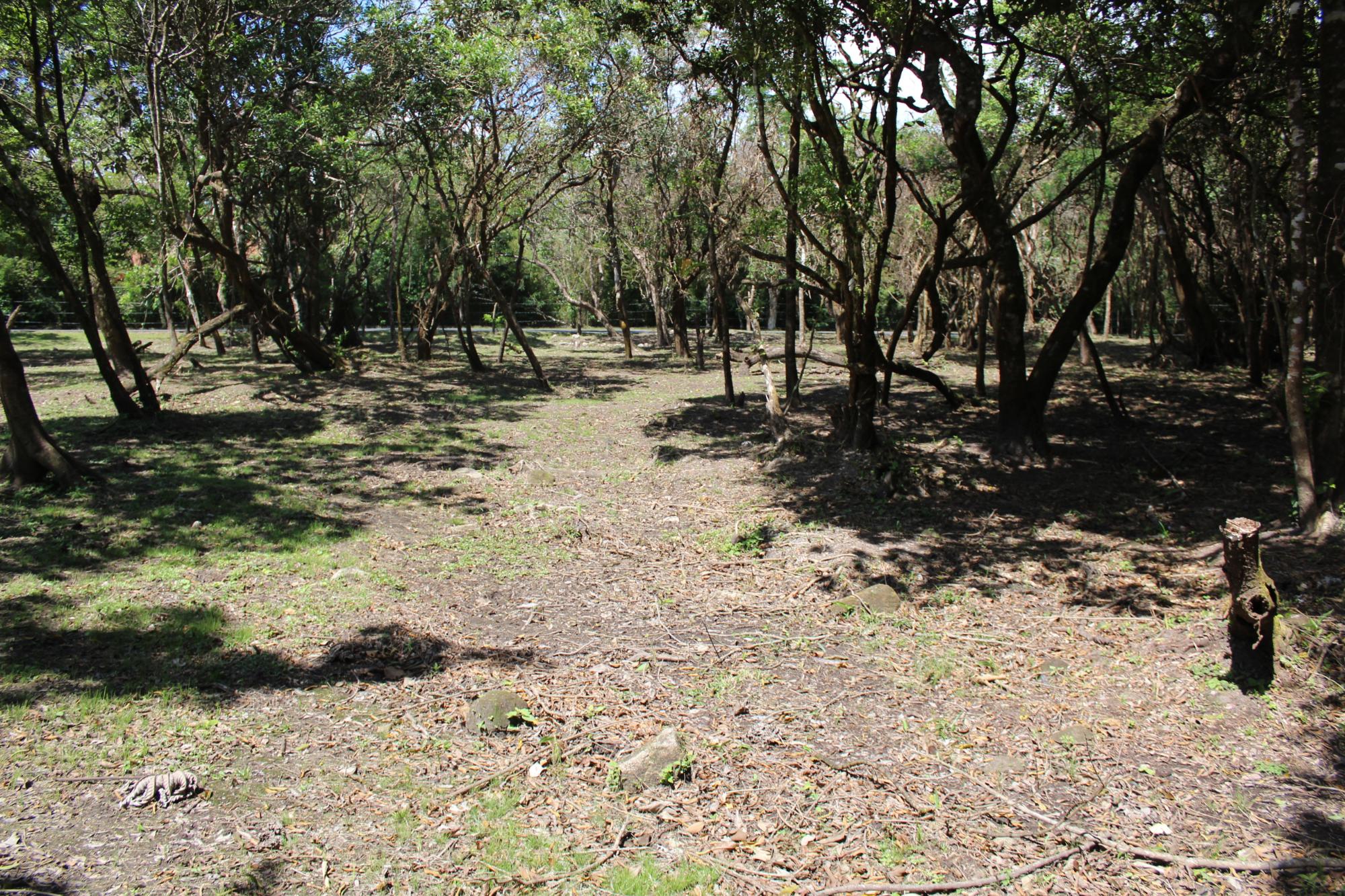 res-0000546a-06.jpg