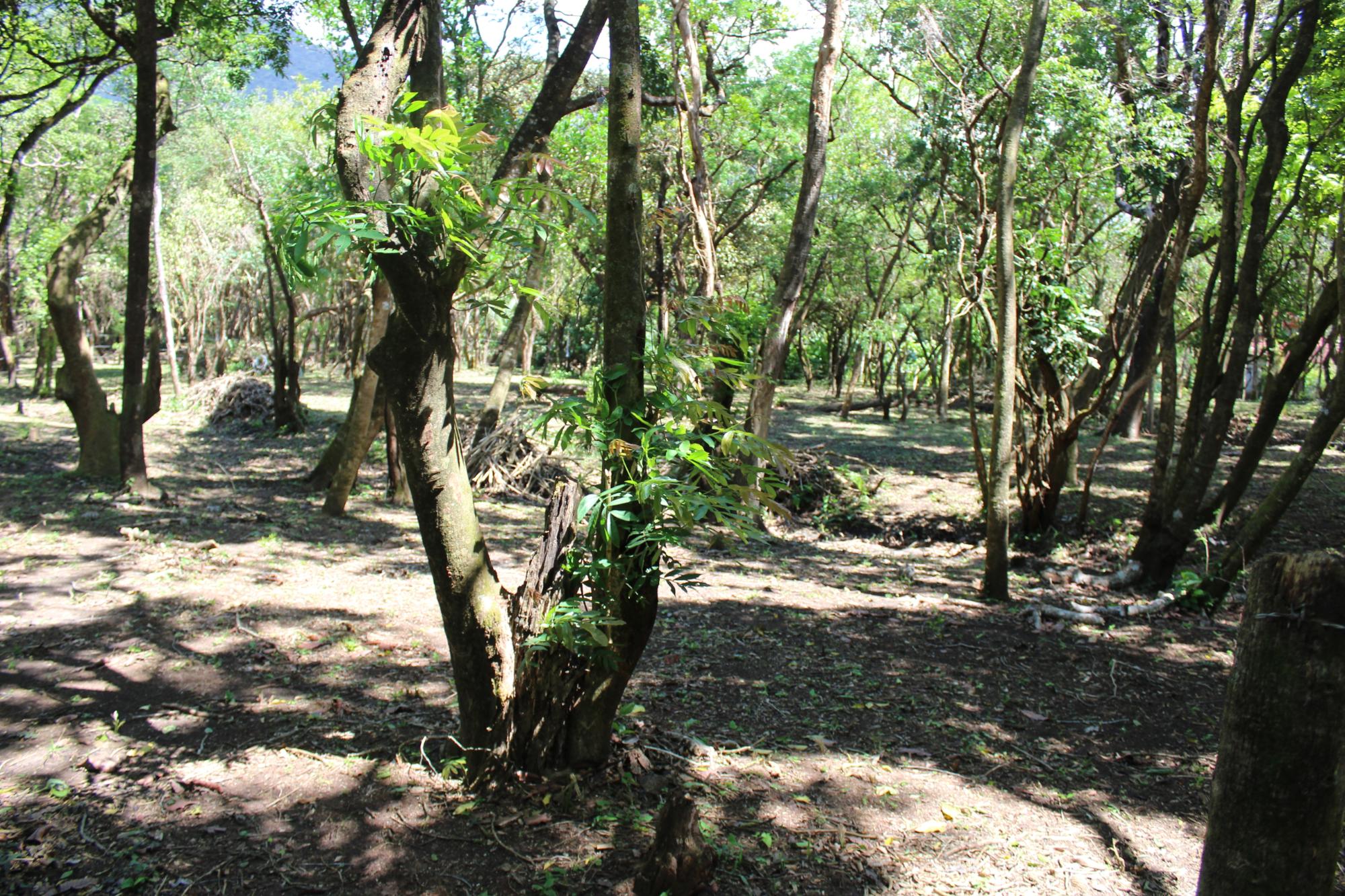 res-0000546a-07.jpg