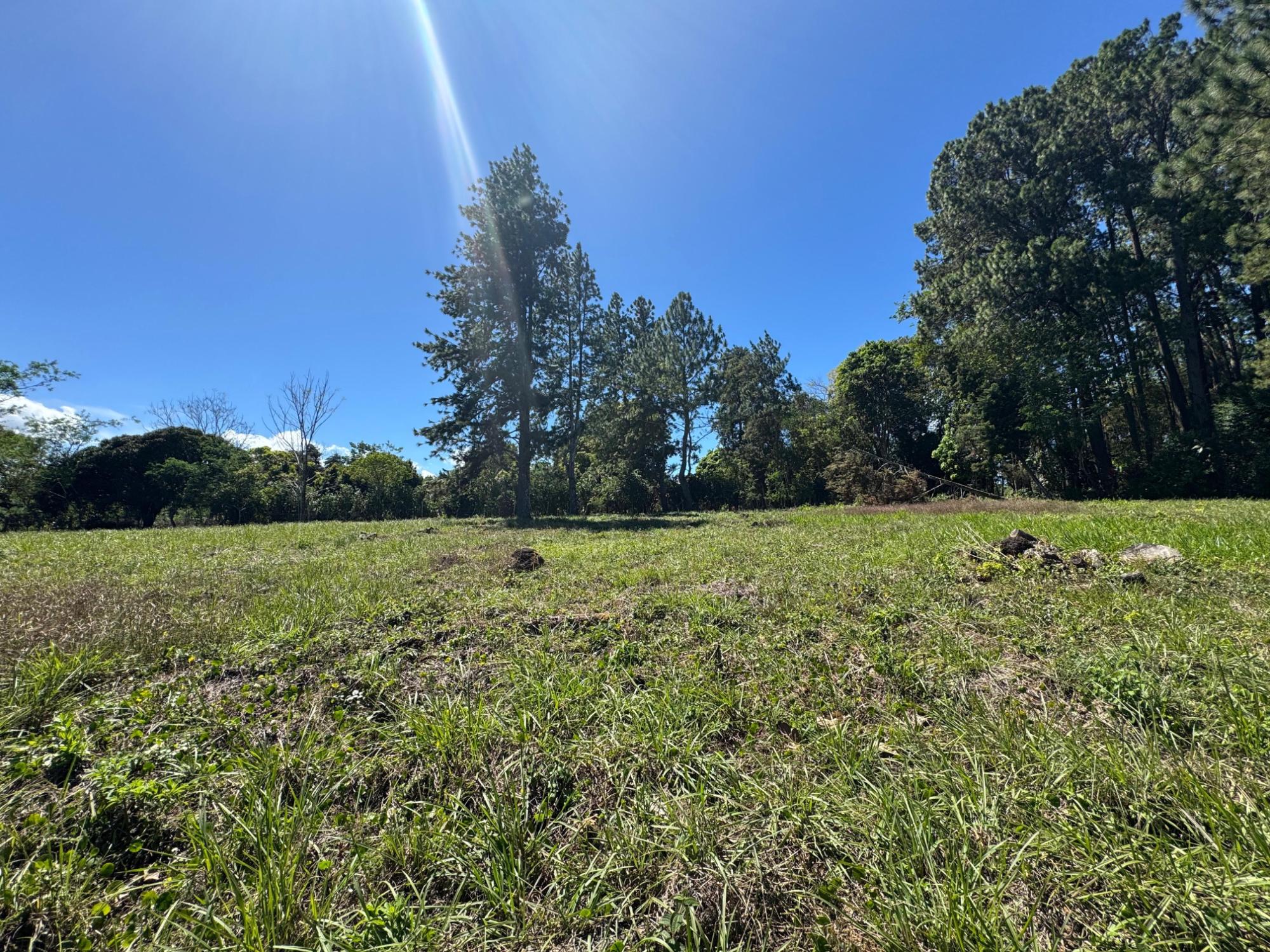 res-0000552f-04.jpg