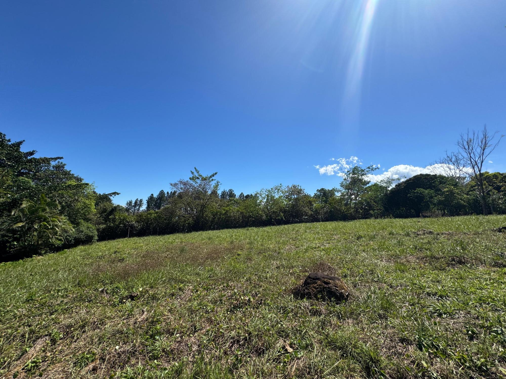 res-0000552f-07.jpg