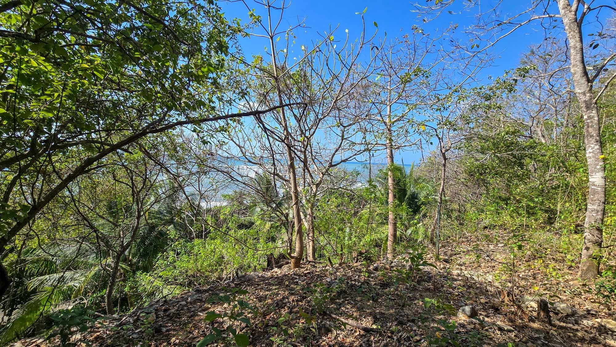 res-00005550-19.jpg