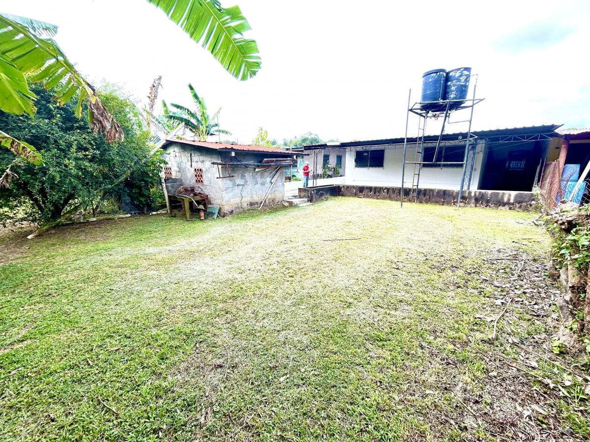 res-00005585-06.jpg