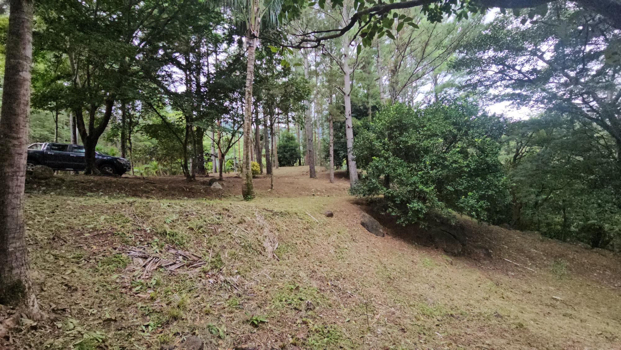 res-000055ee-01.jpg