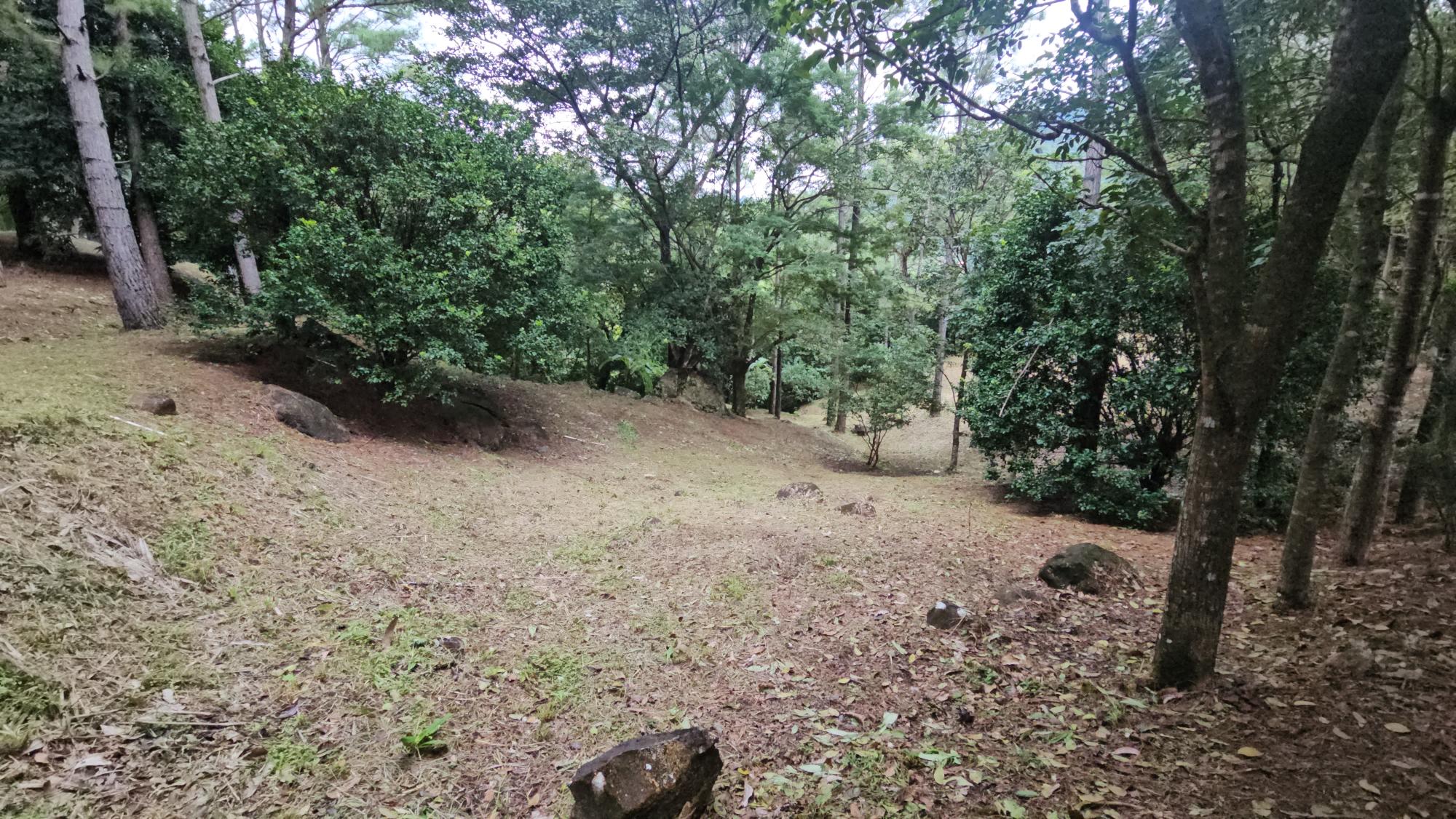res-000055ee-02.jpg