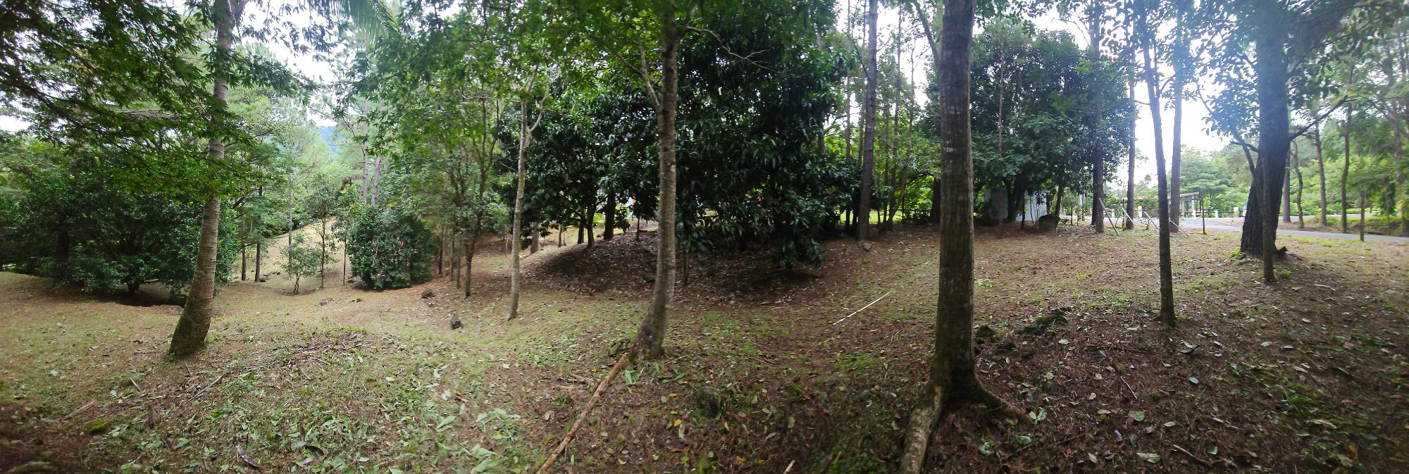 res-000055ee-03.jpg