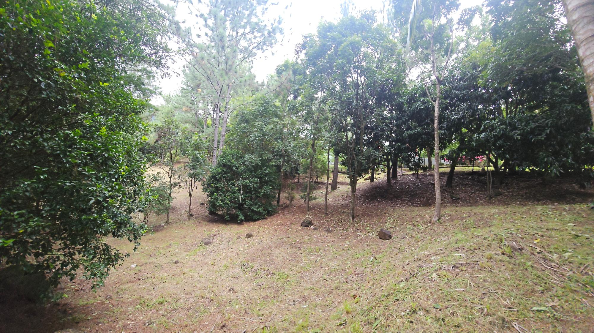 res-000055ee-05.jpg