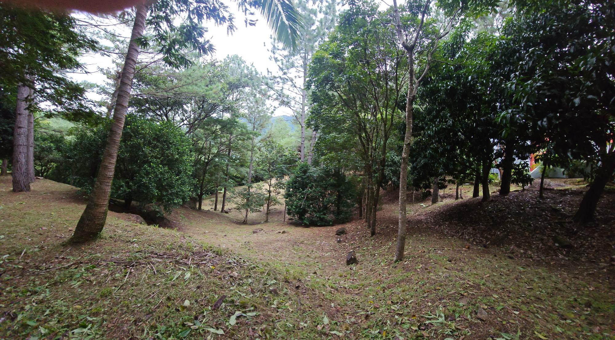 res-000055ee-06.jpg